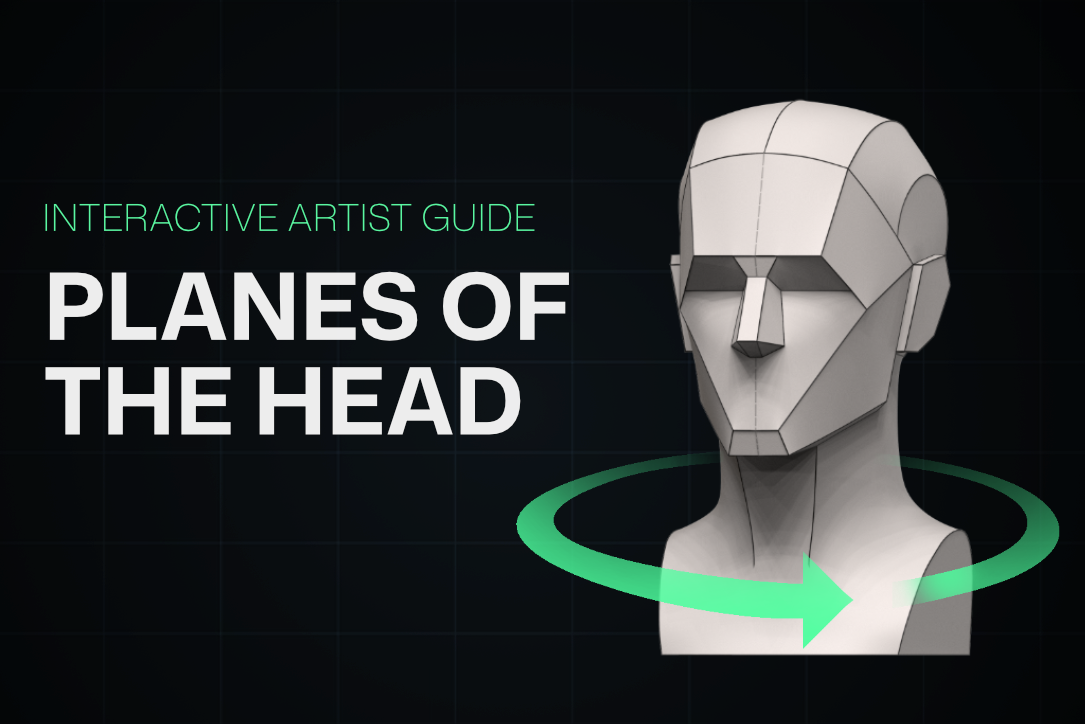 Planes of the Head Explained: Loomis's Method in 3D