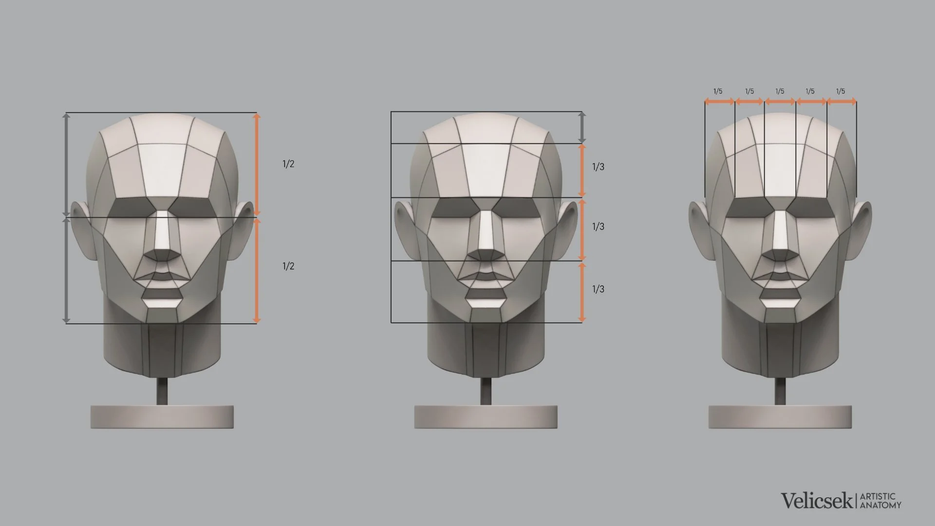 human-head-proportions-halves-thirds-fifths-front-view-for-artists.jpg