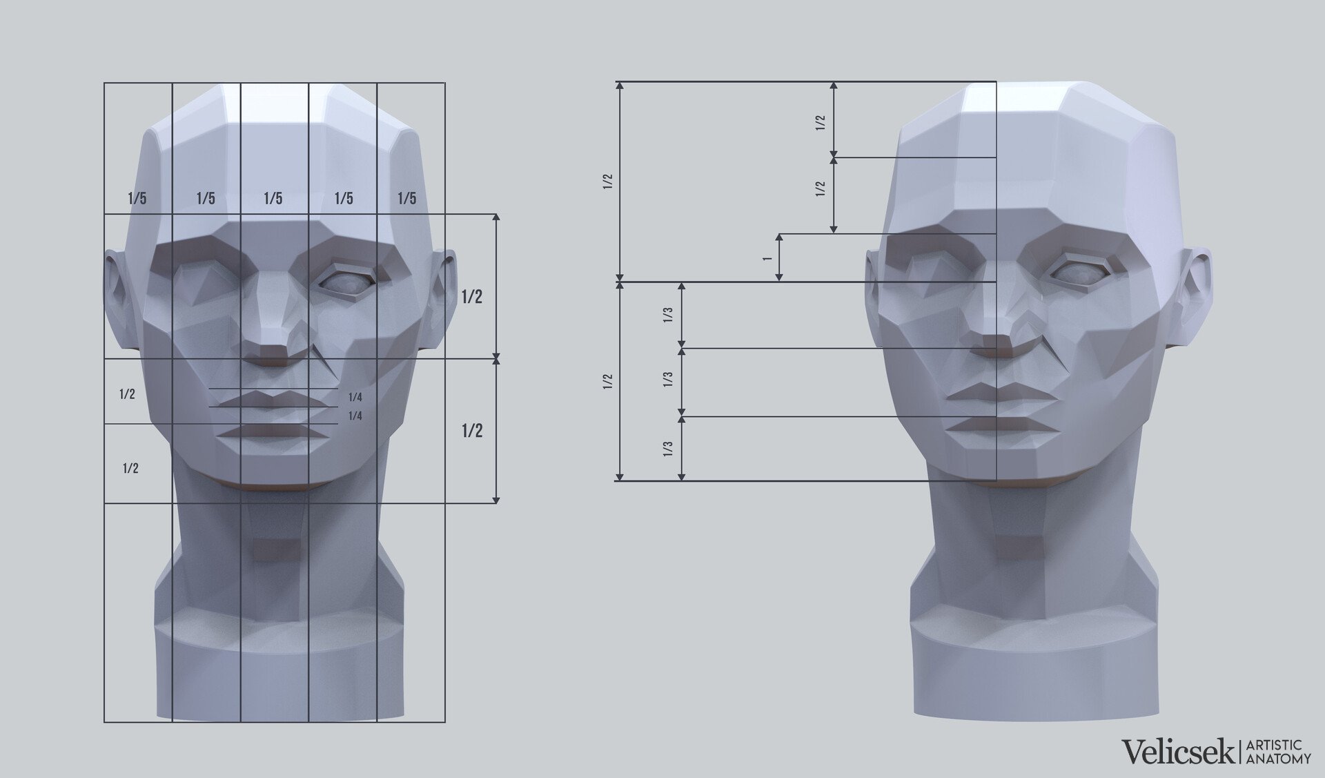 Asaro-based planes of the head, showing the face divided into five equal vertical fifths and annotated halves and thirds, alongside a secondary view with fractional measurements for feature placement in portrait drawing and sculpting