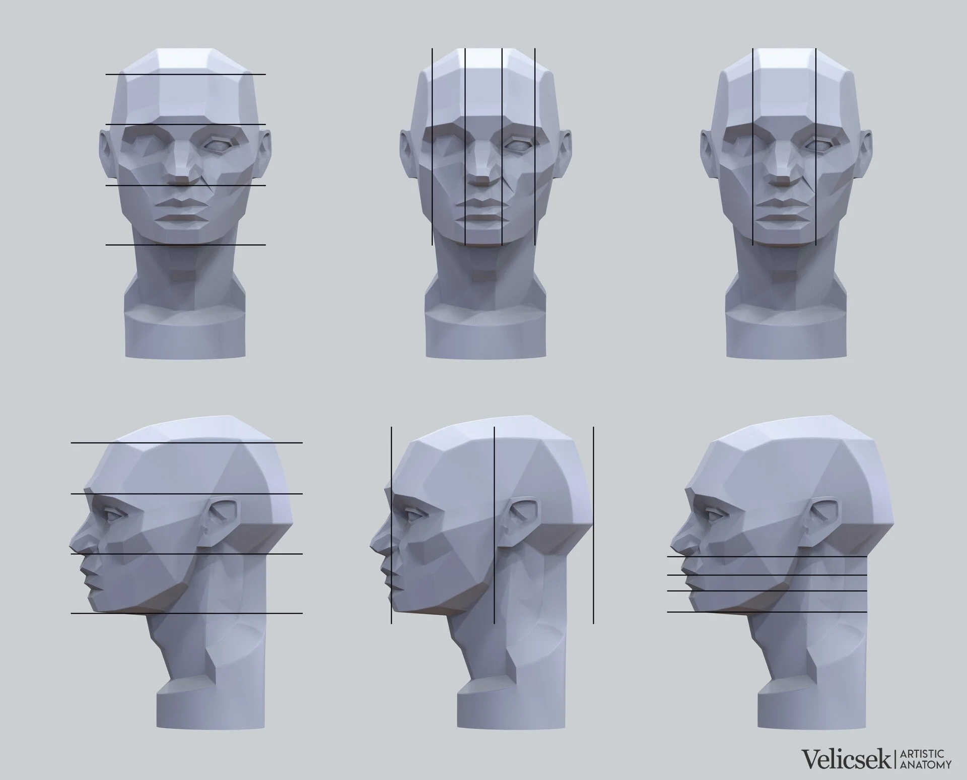 Six-view planar breakdown of the head based on the Asaro mannequin showing front, three-quarter, and side views with horizontal and vertical construction lines, analysing primary and secondary planes of the face for portrait artists and sculptors