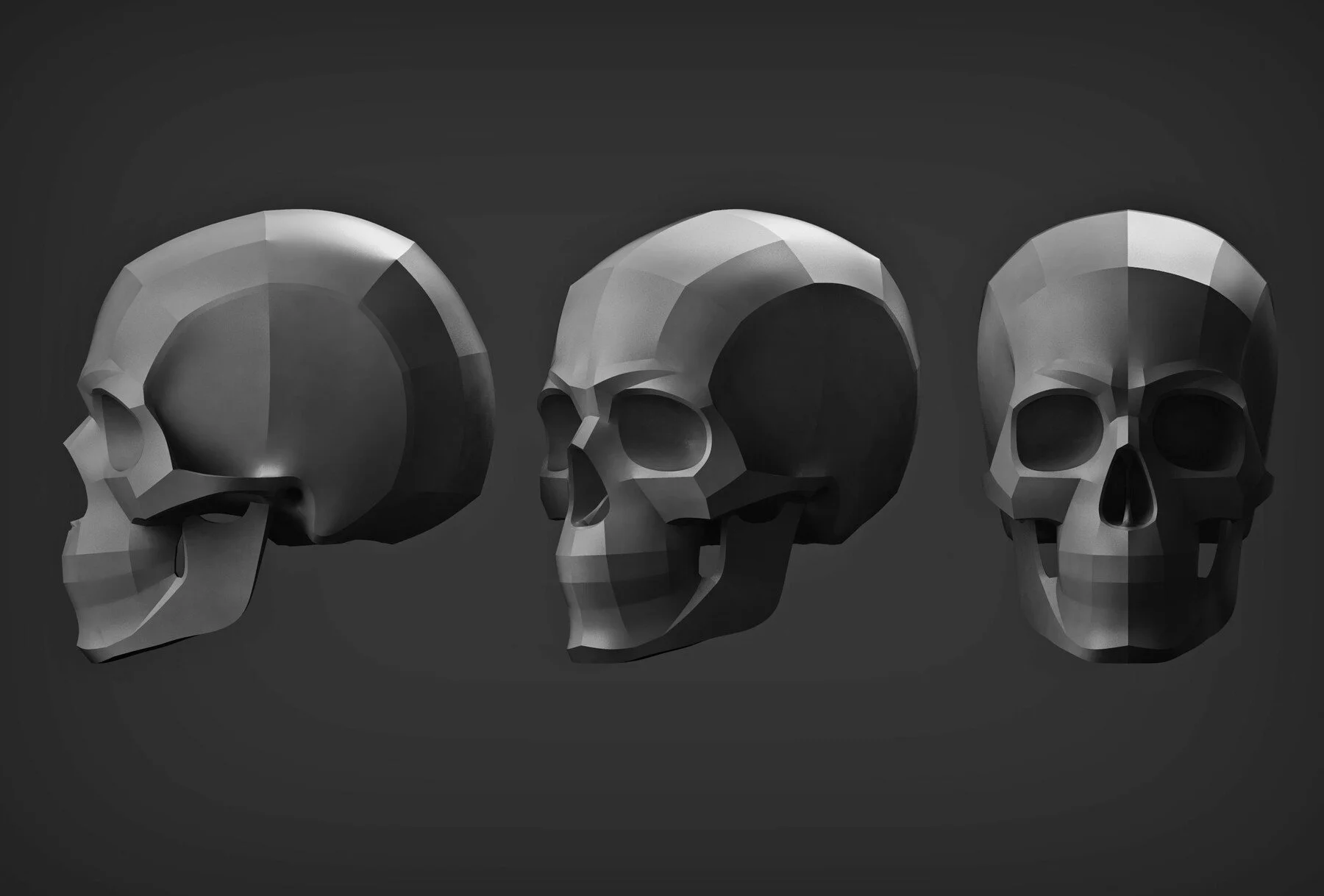 Planar skull 3D model shown from three angles — side, three-quarter and front view