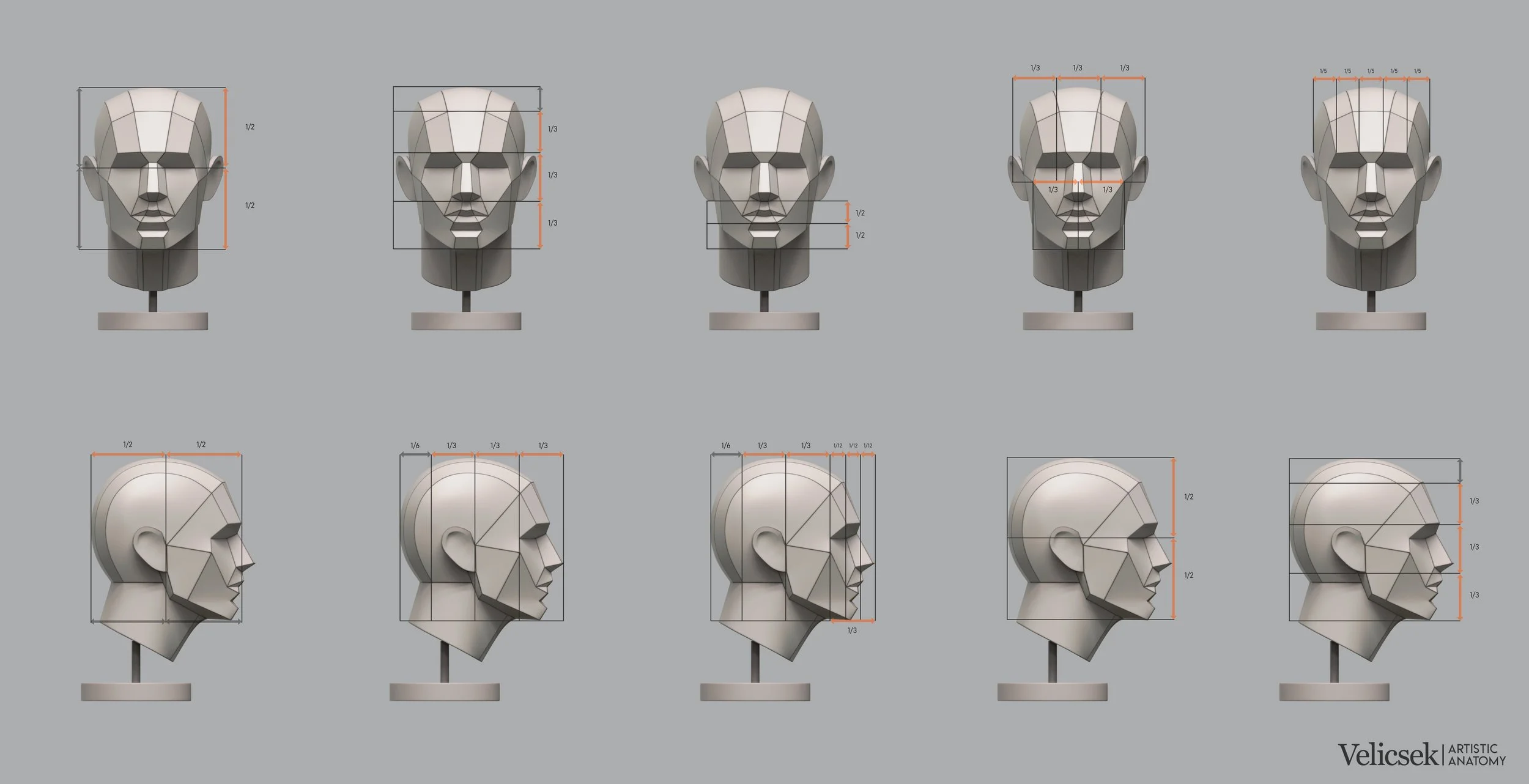 uman-head-proportions-front-and-side-view-complete-reference-for-artists.jpg