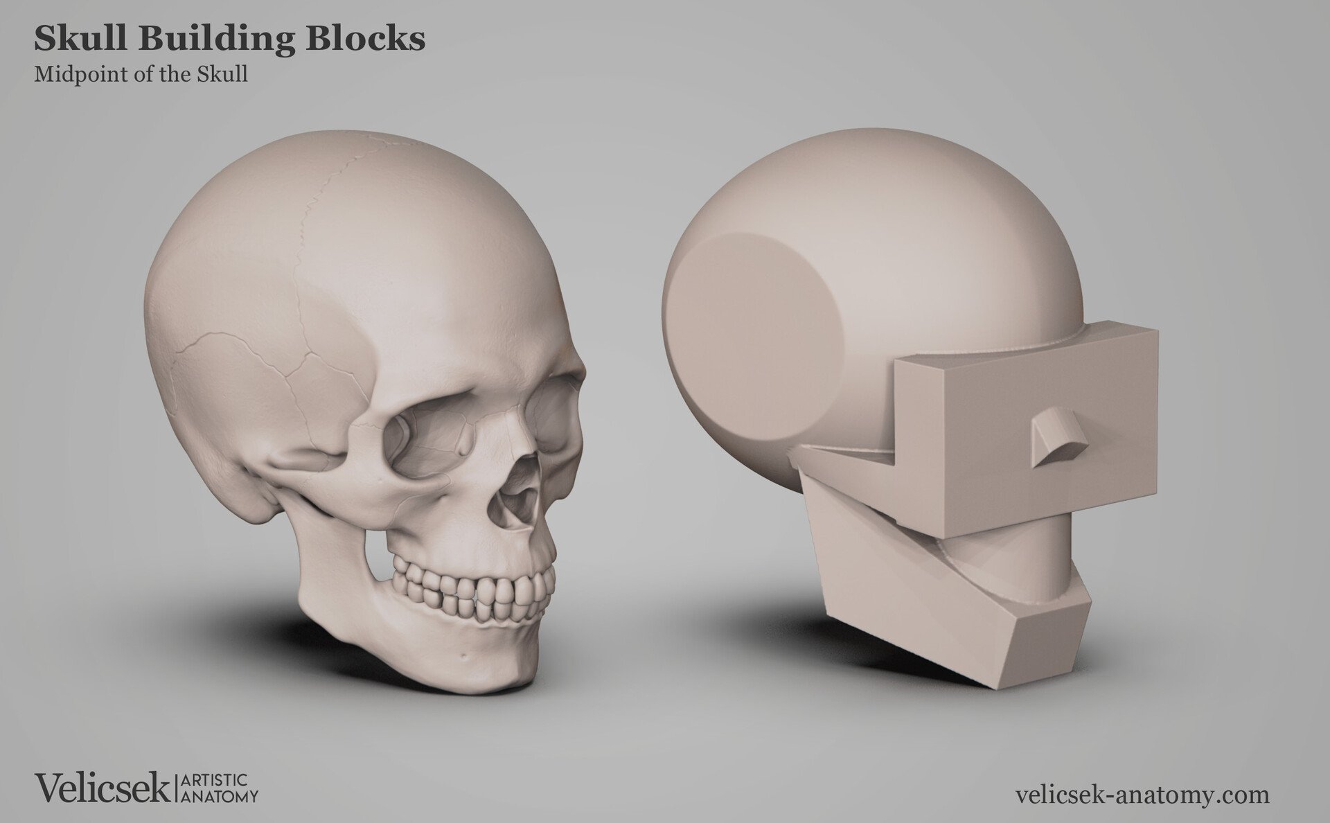 Side view illustration of the human skull building blocks concept showing the organic skull alongside a simplified geometric form with sphere and box components to identify the skull midpoint for artists
