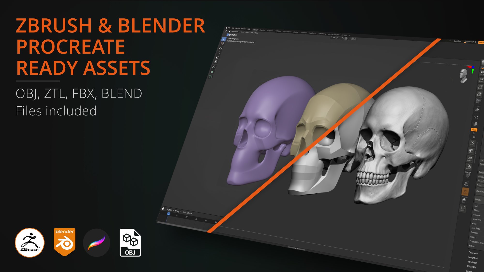 Skull 3D models inside Blender — OBJ, ZTL, FBX and BLEND files for skull drawing reference