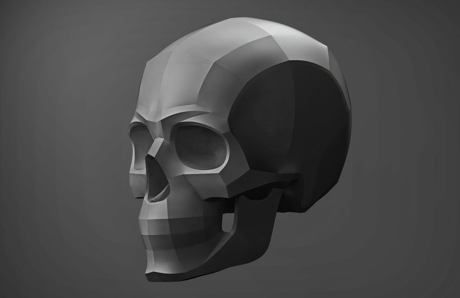3D planar skull model three-quarter view showing skull planes for anatomy drawing