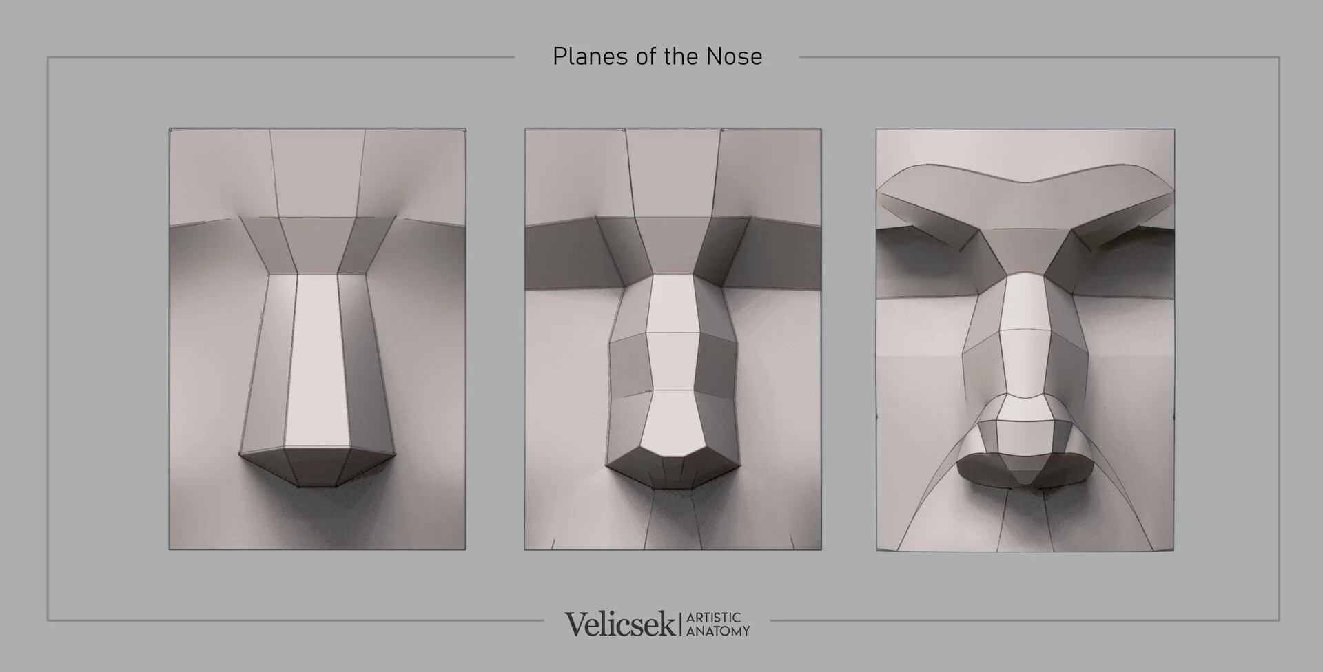Three-angle frontal planar breakdown of the nose for artists, showing simplified geometric planes from below, front, and three-quarter view to aid in understanding nose structure and form for portrait drawing