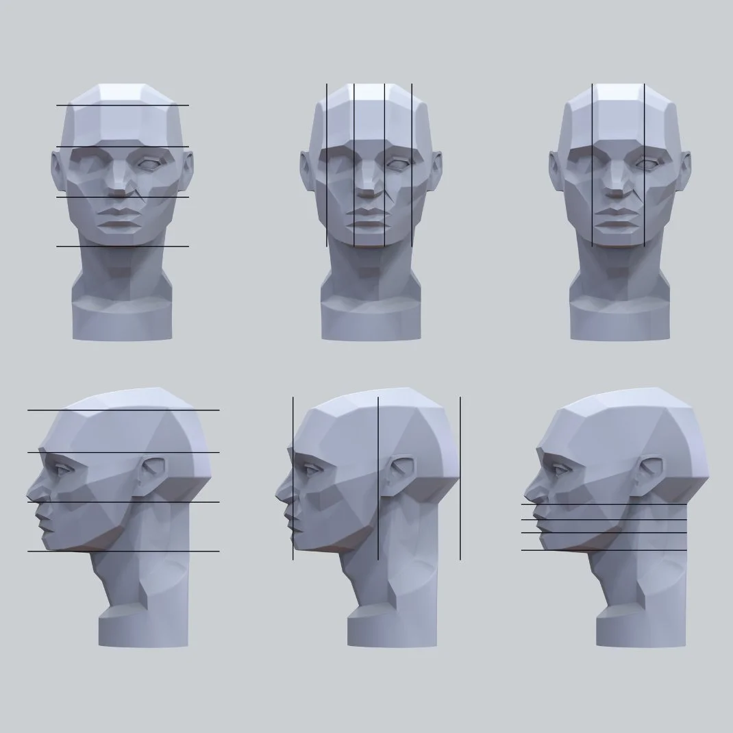 Planes of the Head - Study Notes