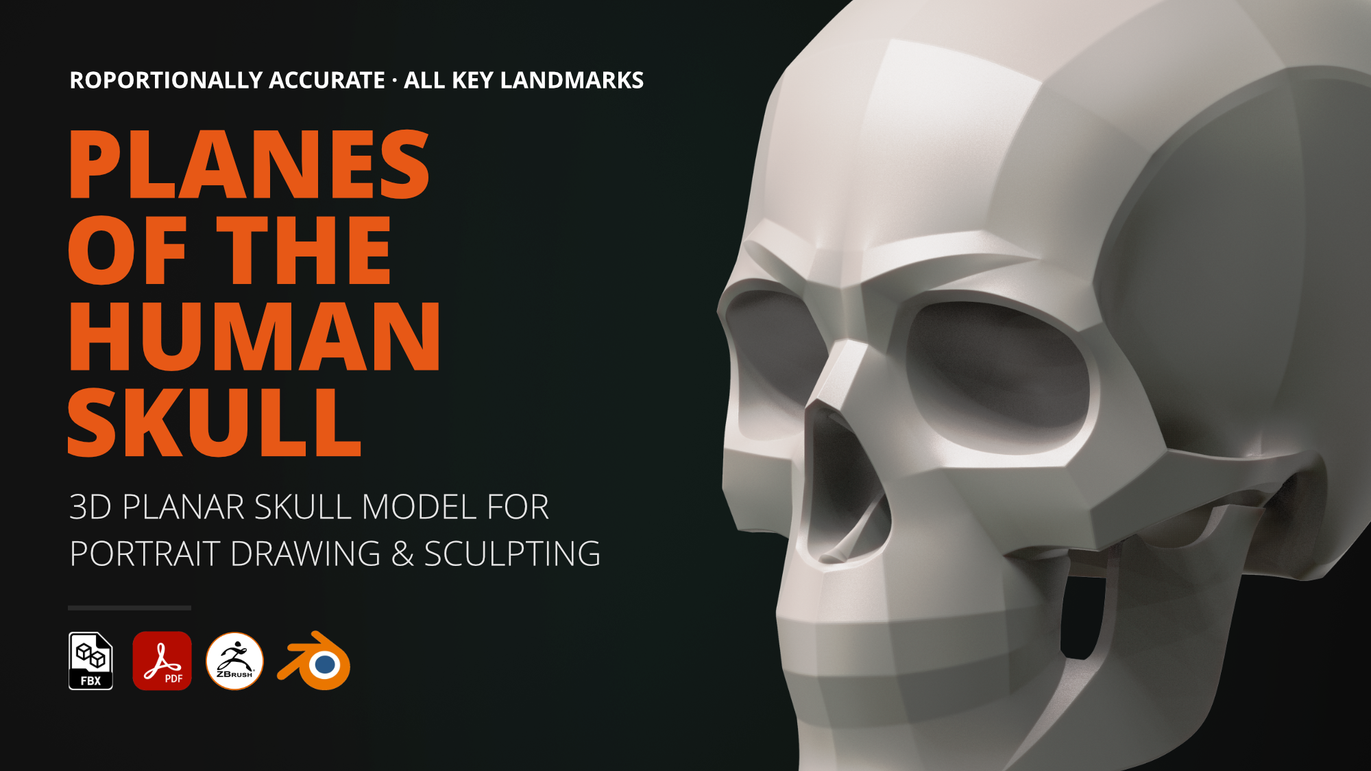 Planes of the Human Skull