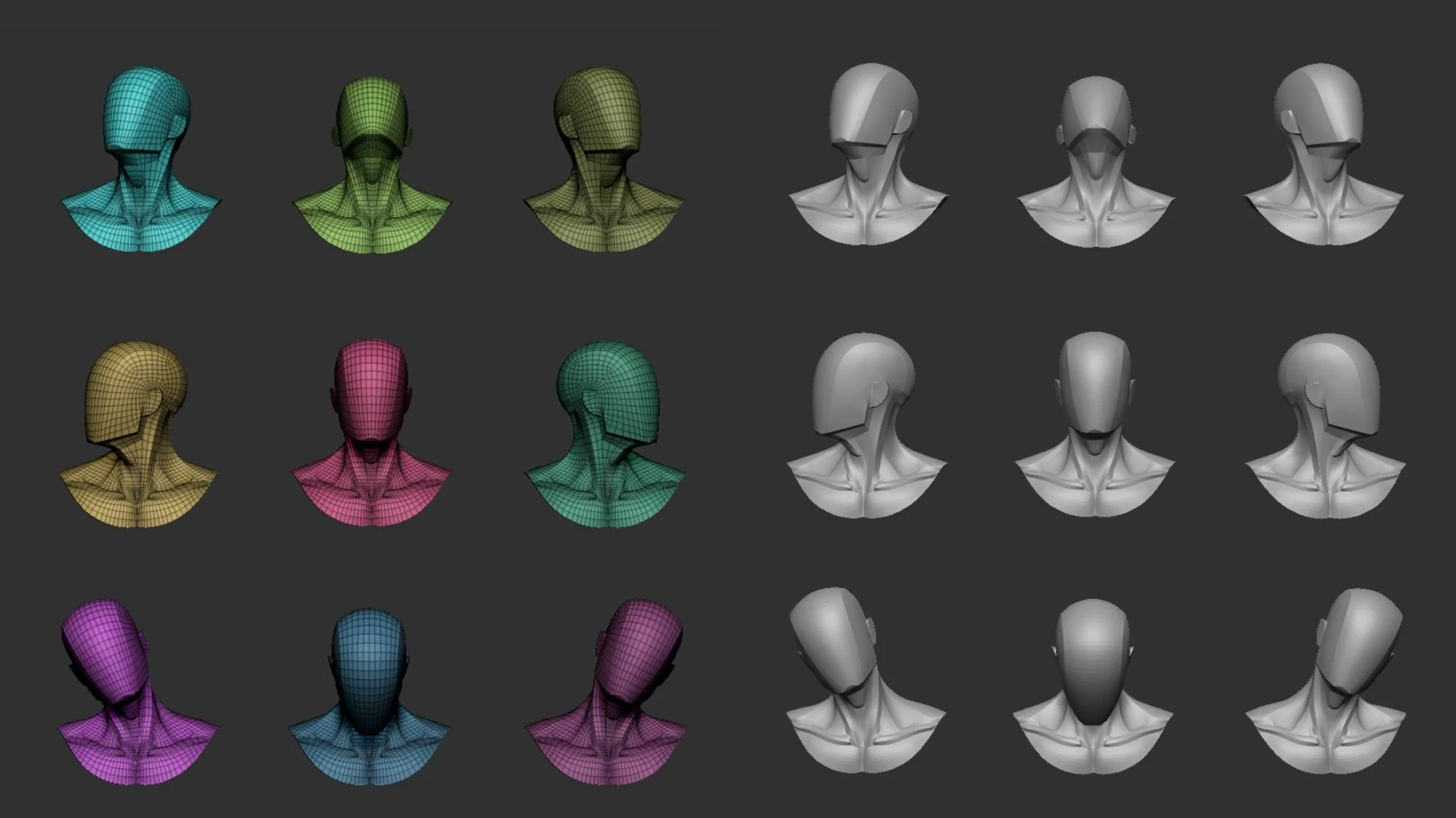 Head and neck 3D model with clean wireframe topology for ZBrush and Blender sculpting