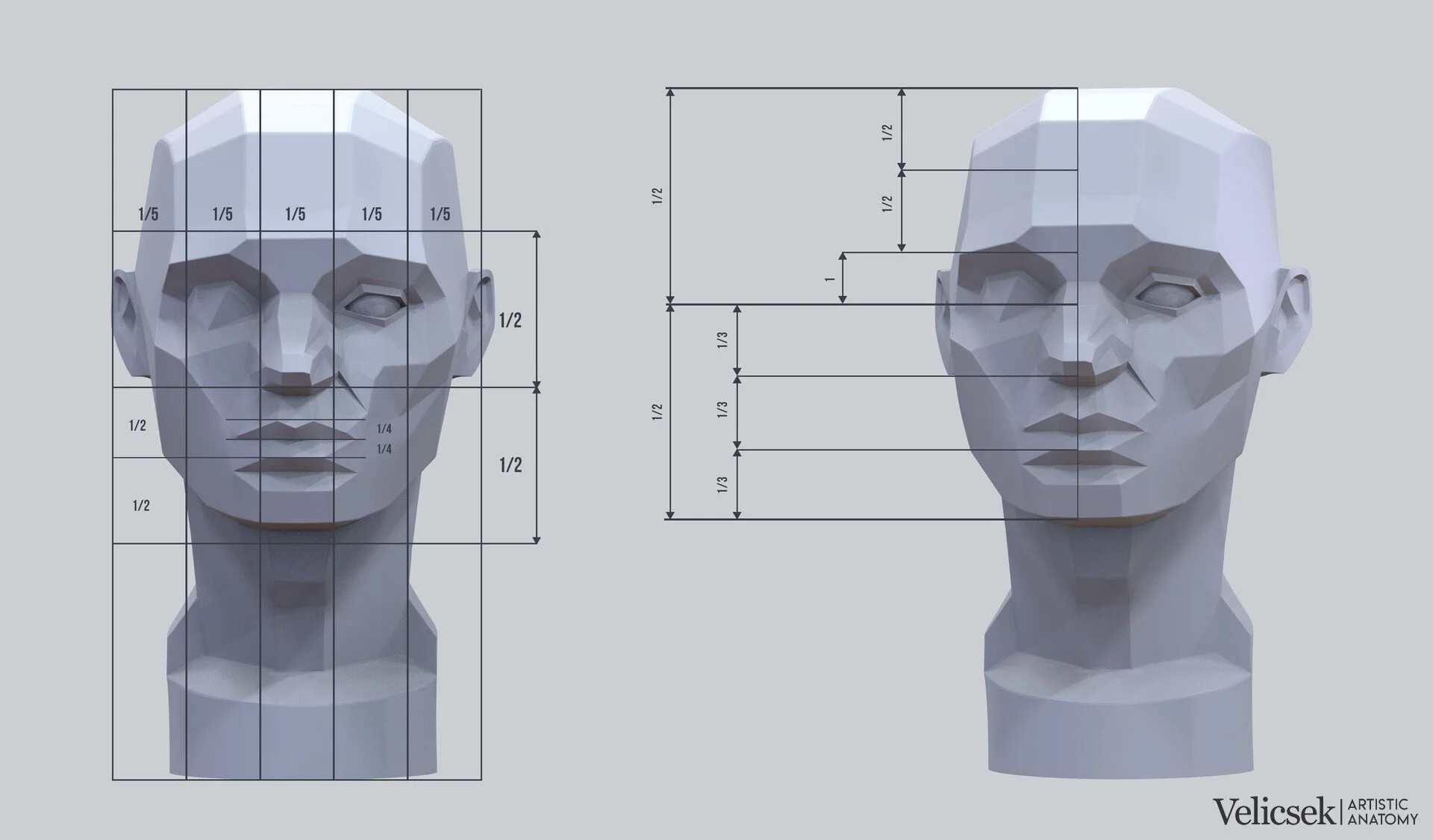 Detailed front view proportion system of the Asaro-based planes of the head, showing the face divided into five equal vertical fifths and annotated halves and thirds, alongside a secondary view with fractional measurements for feature placement in po