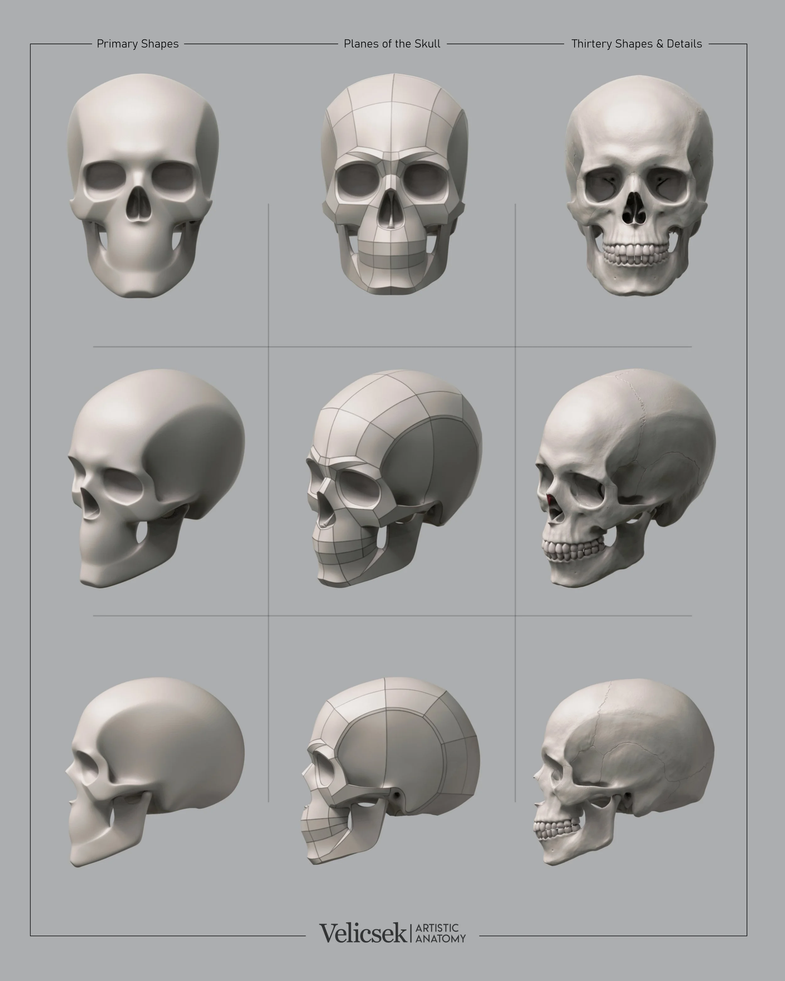 skull-shapes-and-planes-multi-view-reference-for-artist.jpg
