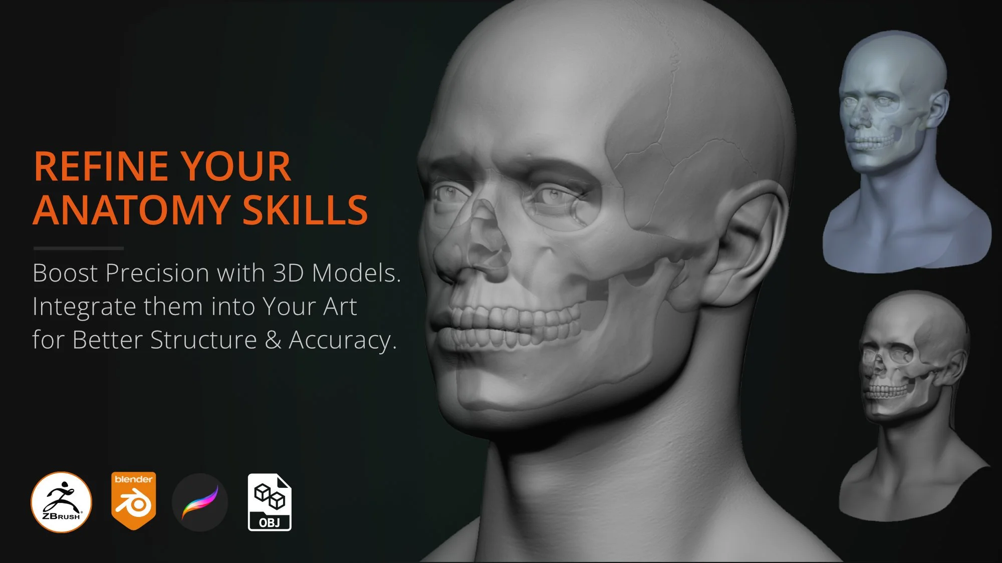 3D skull anatomy model over portrait face - drawing reference for artists in ZBrush and Blender