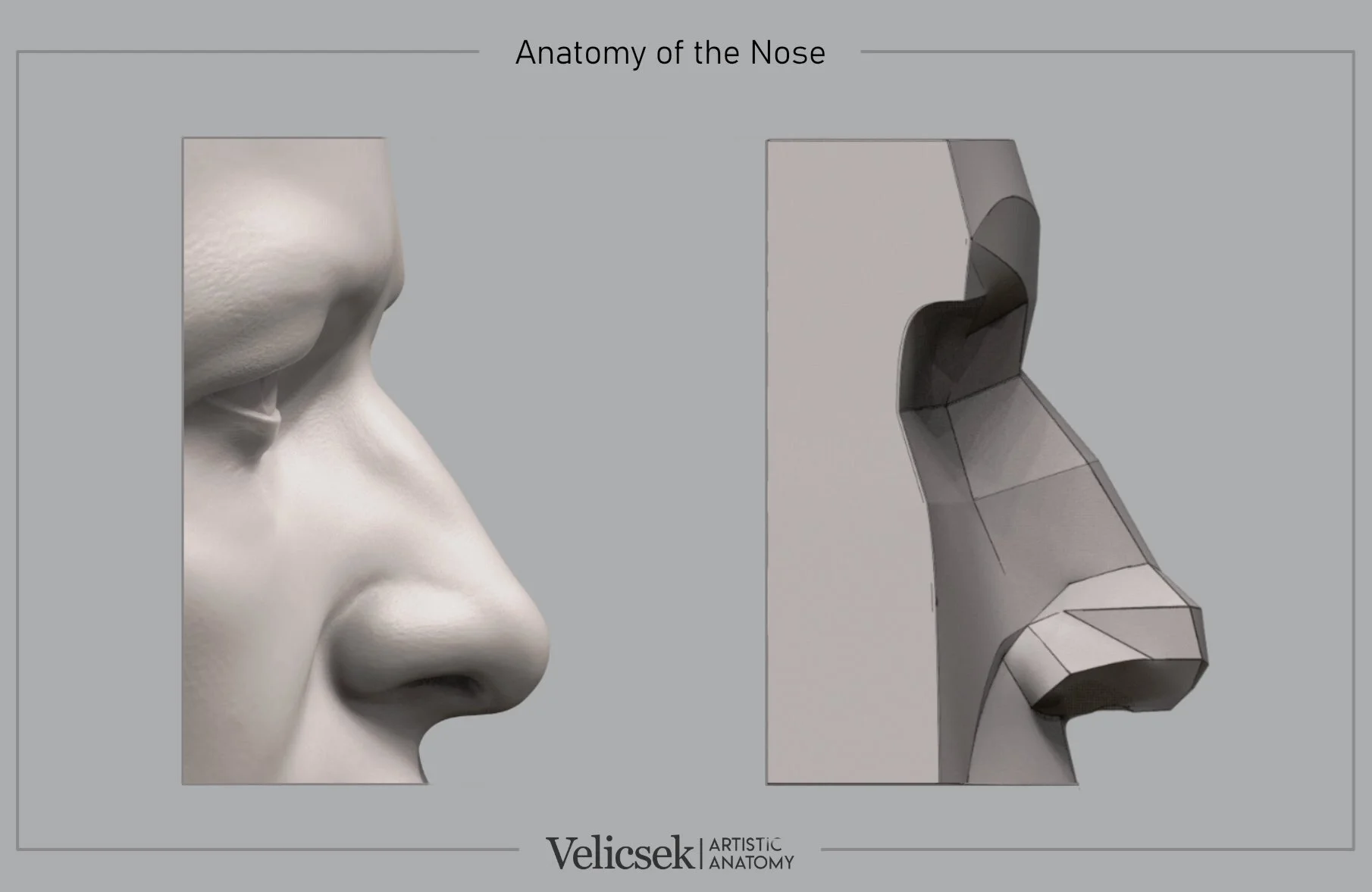 Side view comparison of the nose for artists showing the organic surface form alongside a simplified planar model, illustrating how light and shadow map to the anatomical planes of the nose