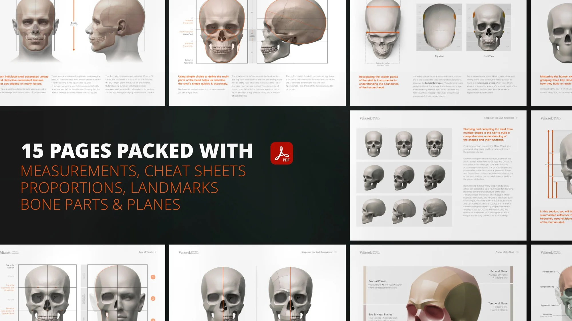 Free skull drawing ebook preview — 15 pages of measurements, proportions and landmarks