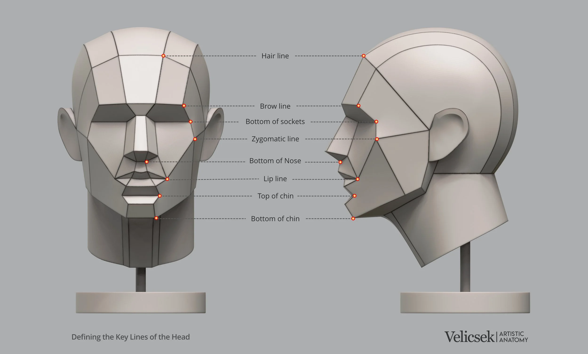 ey-lines-of-the-human-head-front-and-side-view-for-artists.jpg