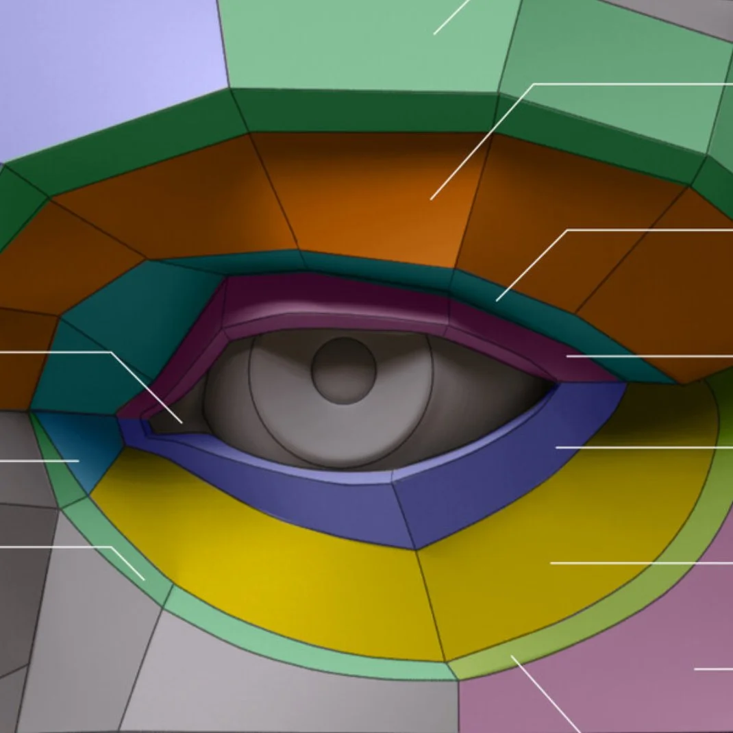 Planes of the Human Eye