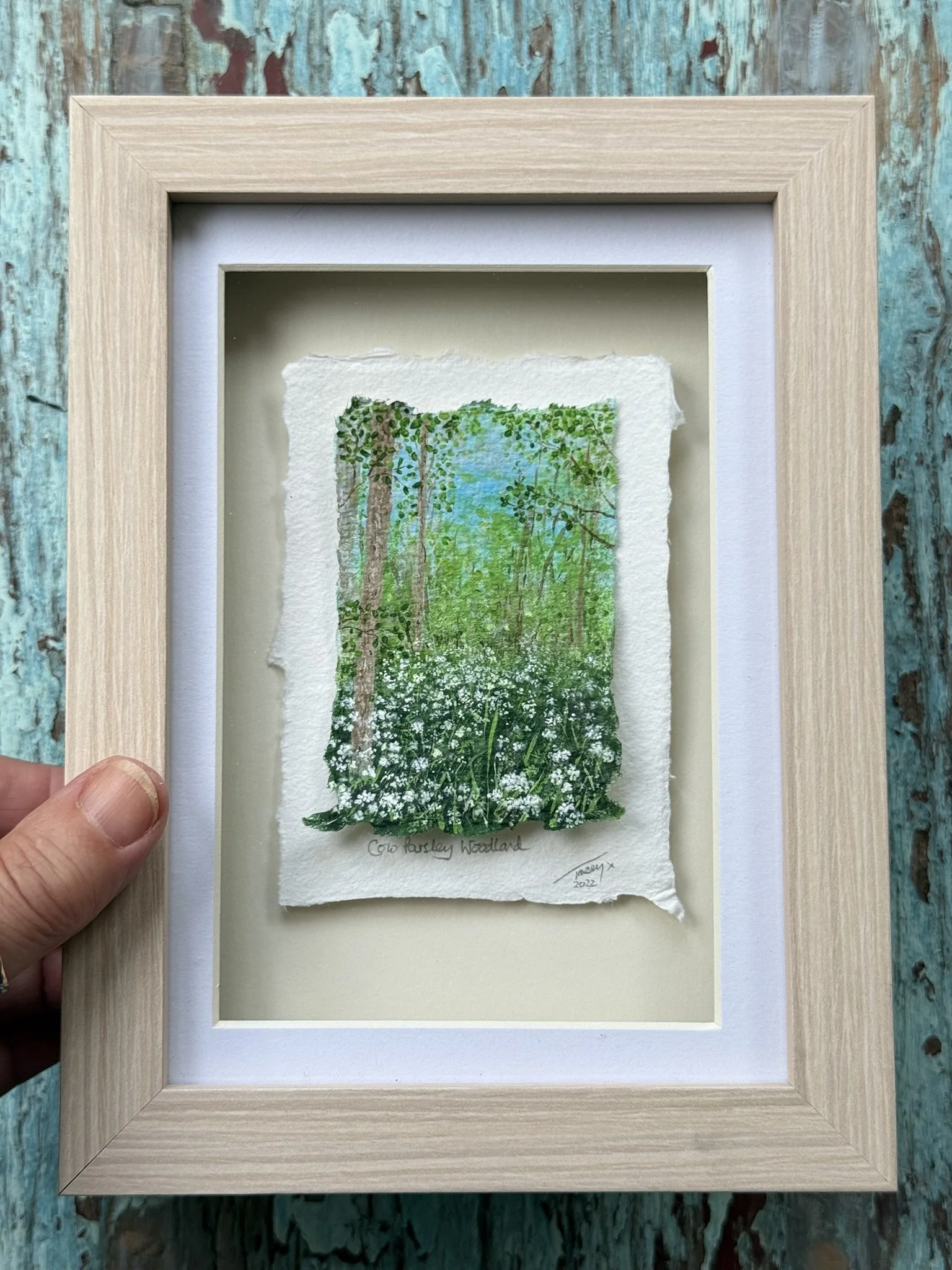 Cow Parsley Woodland