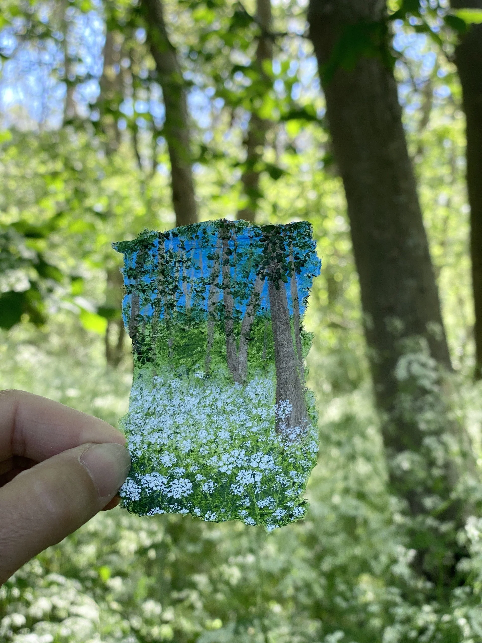 Cow Parsley Woodland Sussex Miniature Painting