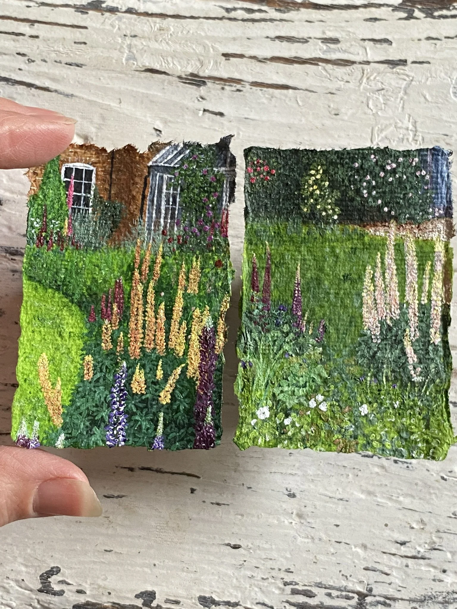 The Summer Garden & Lupin Border