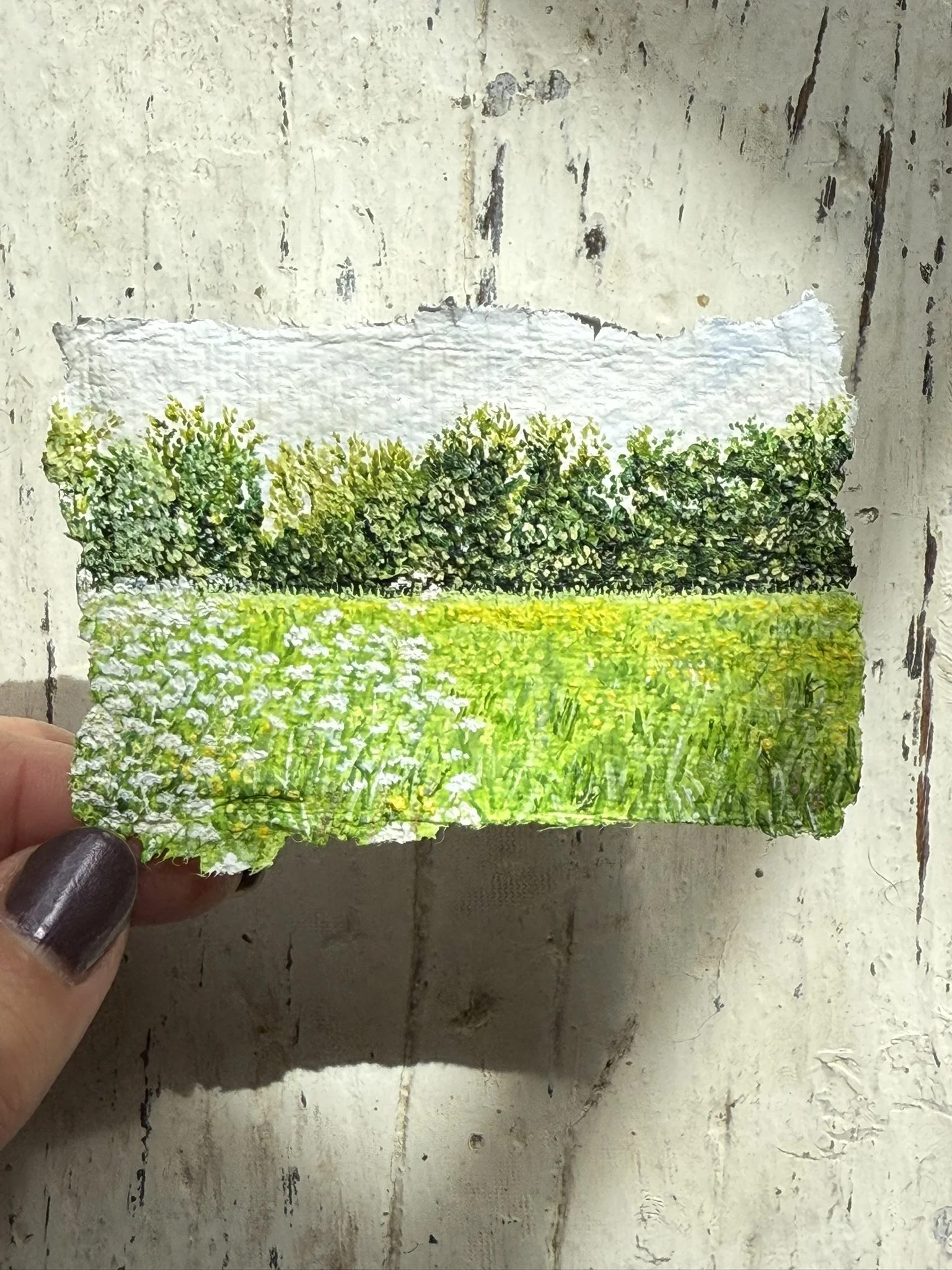 A Meadow in May