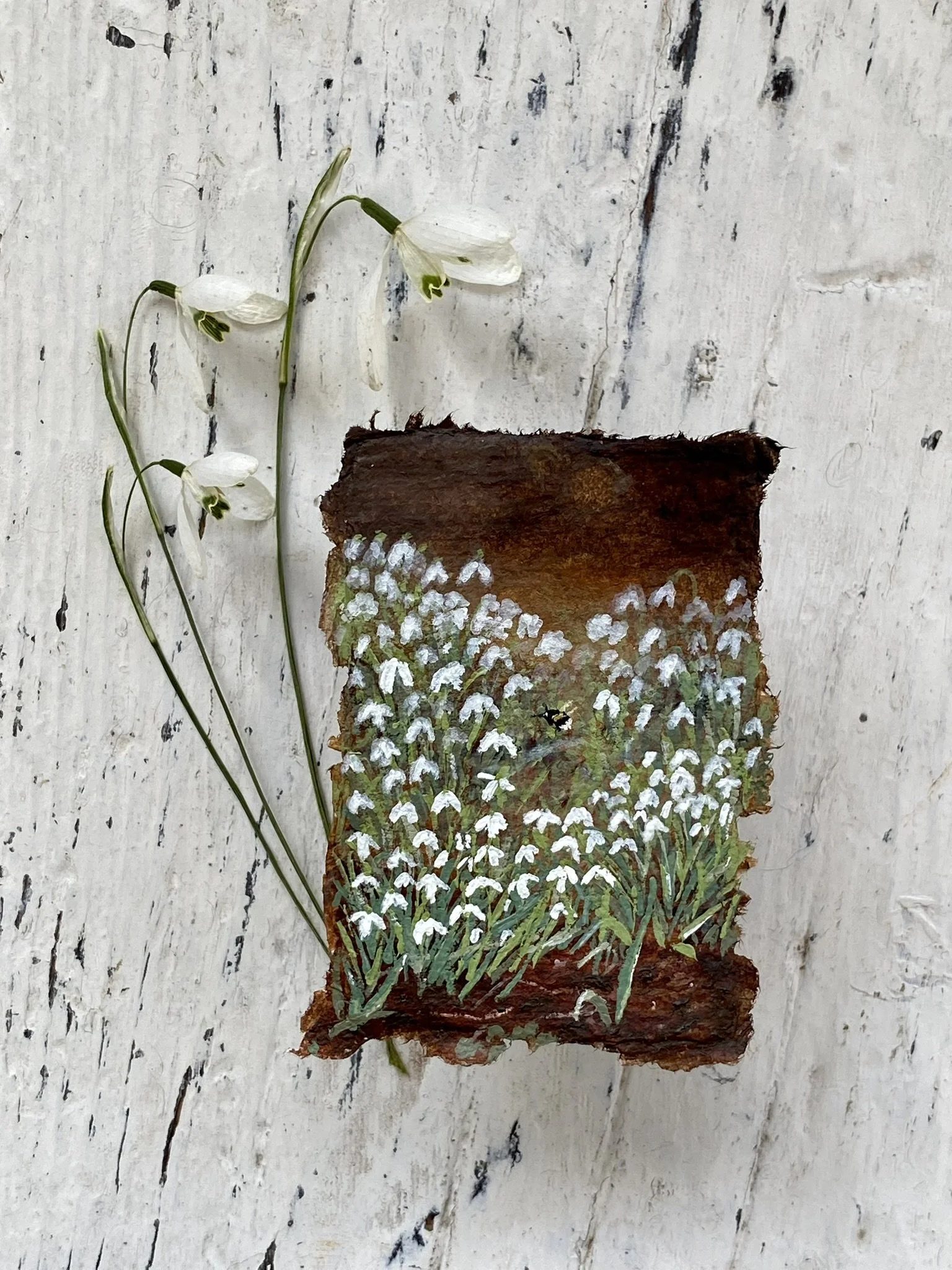 Miniature painting of Snowdrops and Bee