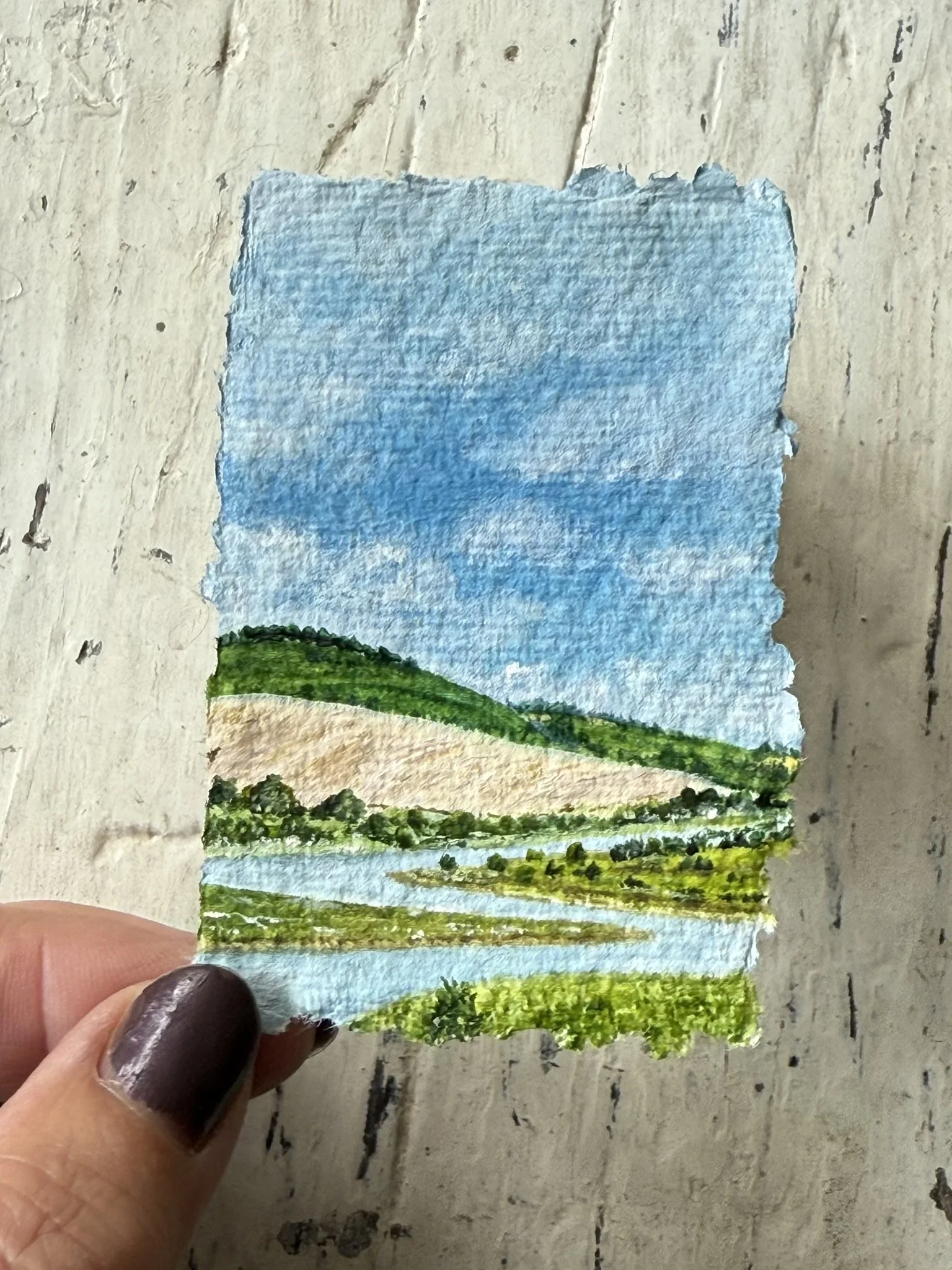 The Cuckmere in Summer