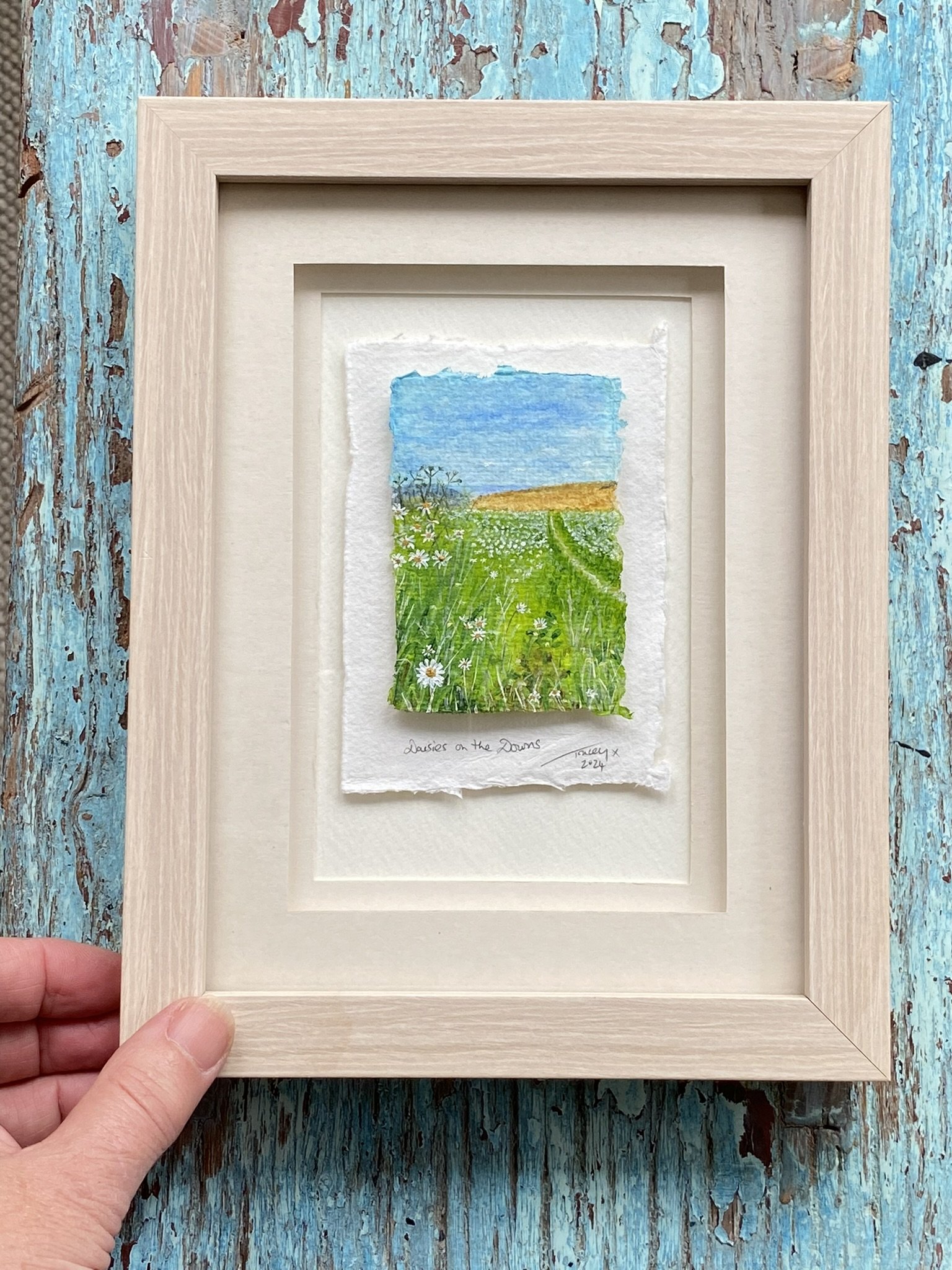 Miniature painting of Daisies on the South Downs in Sussex