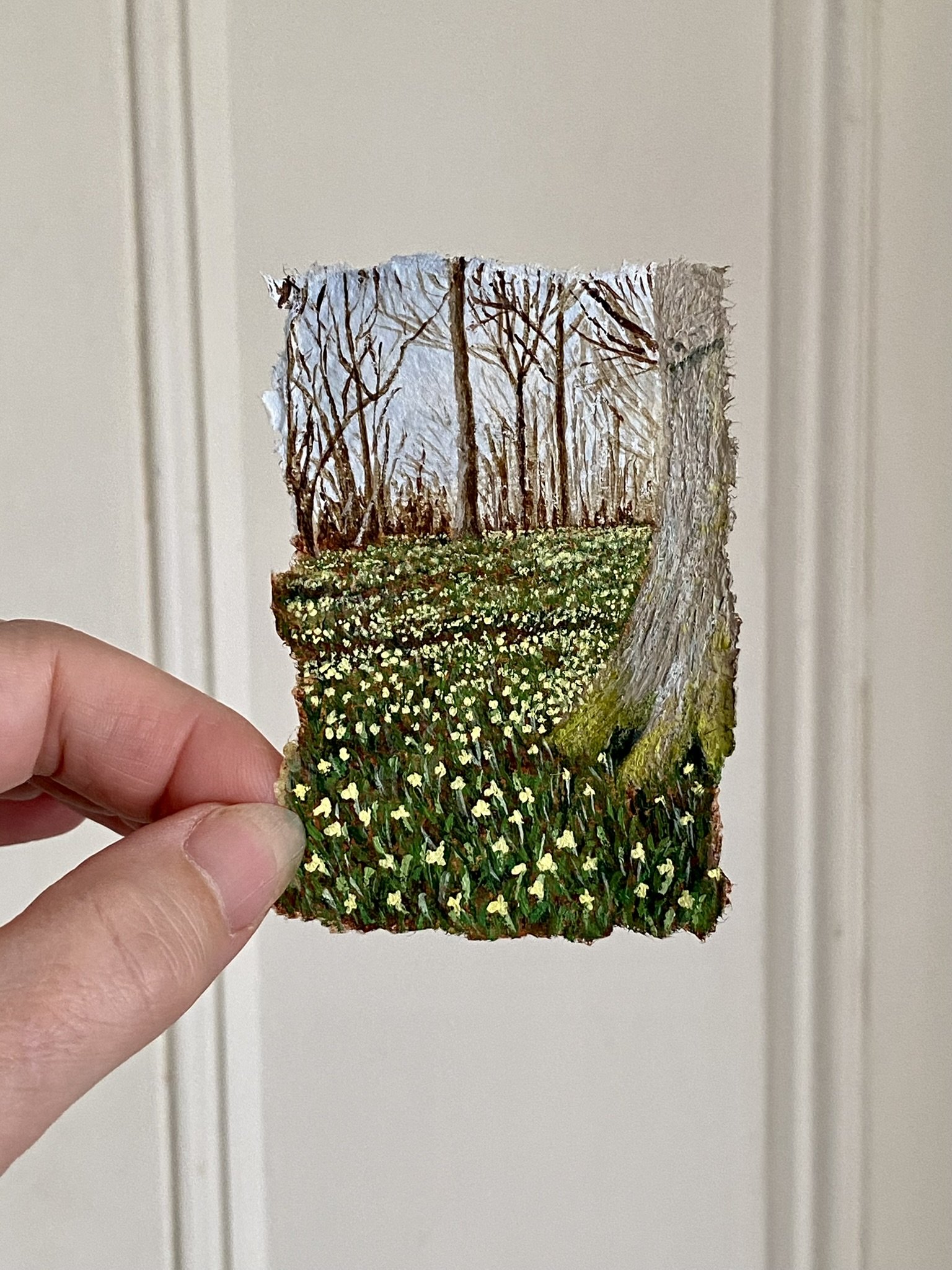 Miniature painting of Wild Daffodils in a Woodland