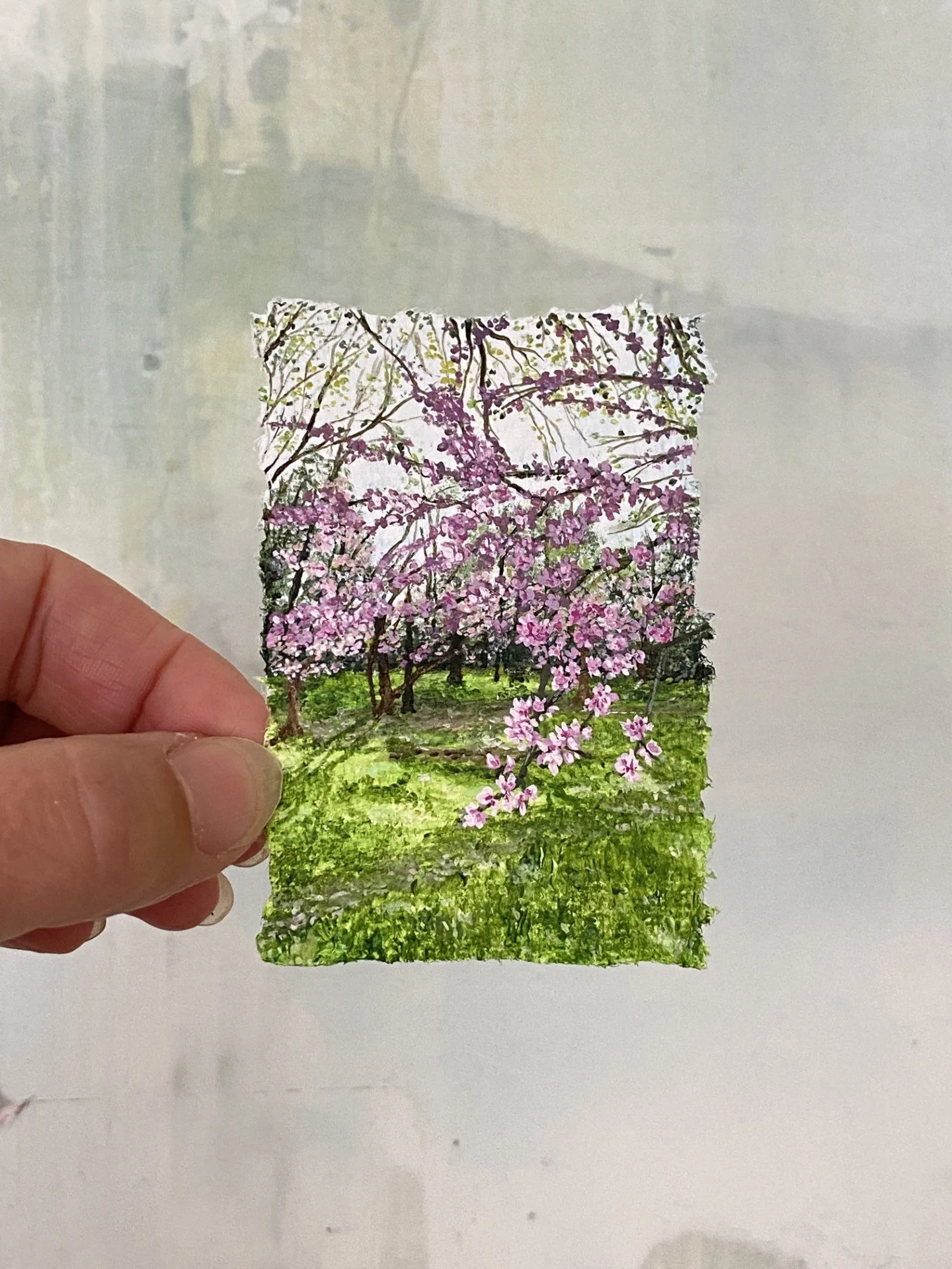 Chicago Spring Magnolia