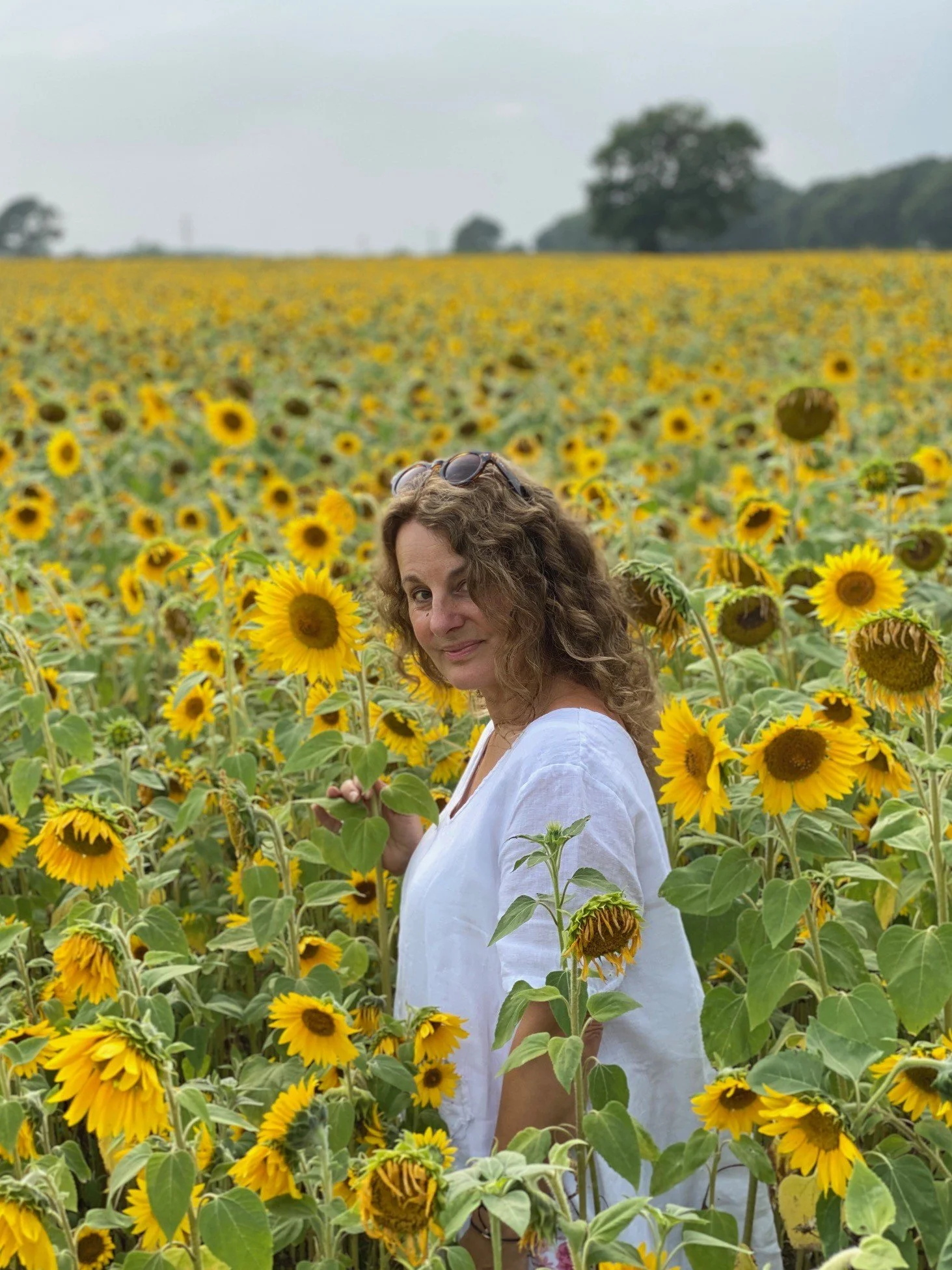 Photo of Tracey Hunter Dale in a field of Sussex sunflowers Tracey J Hunter