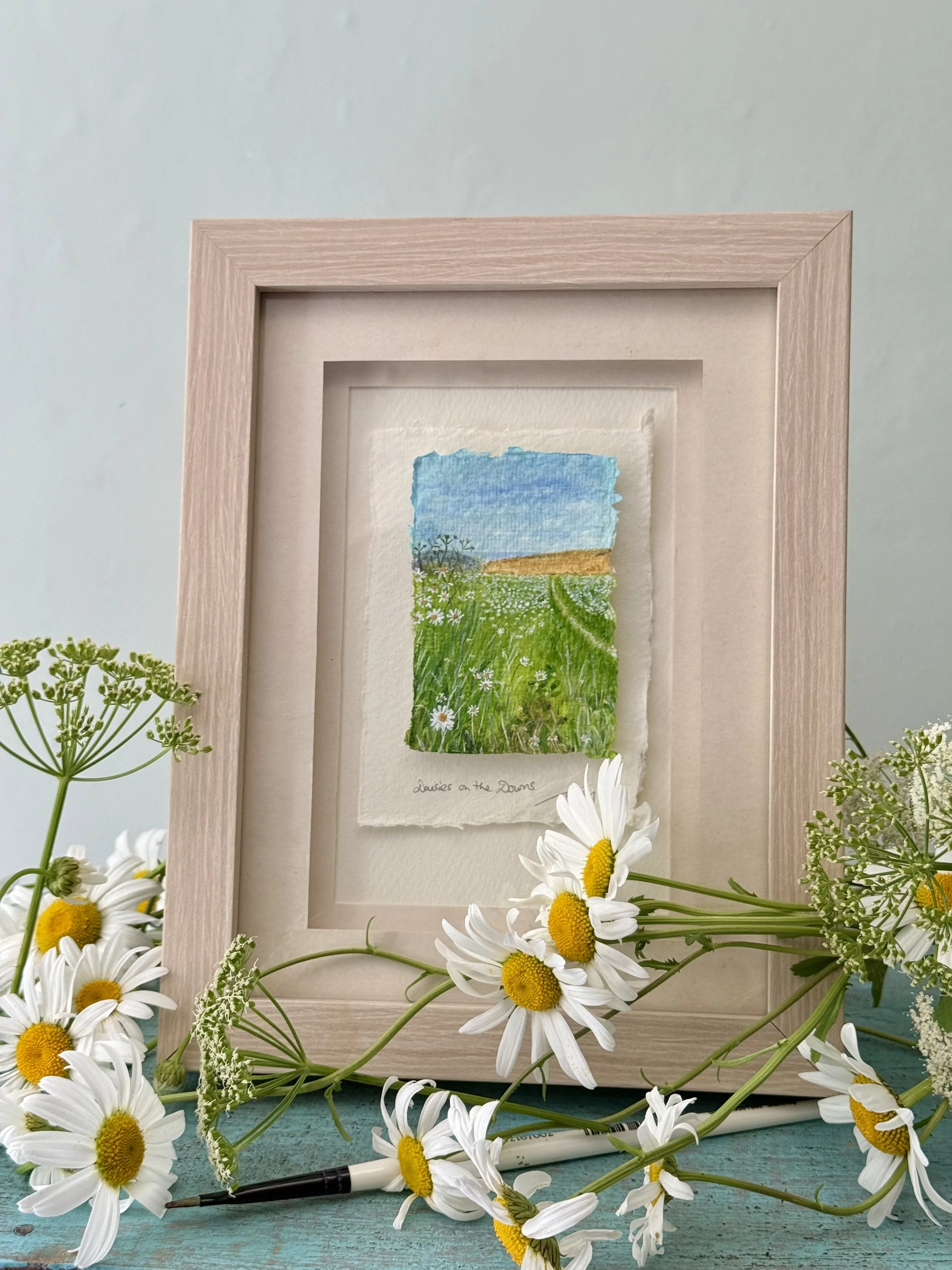 A framed miniature painting landscape in acrylics of white daisies on the South Downs in East Sussex, rolling hills in the background, and a blue sky, with wildflowers and grasses on a teal wooden surface surrounded by freshly picked daisies.