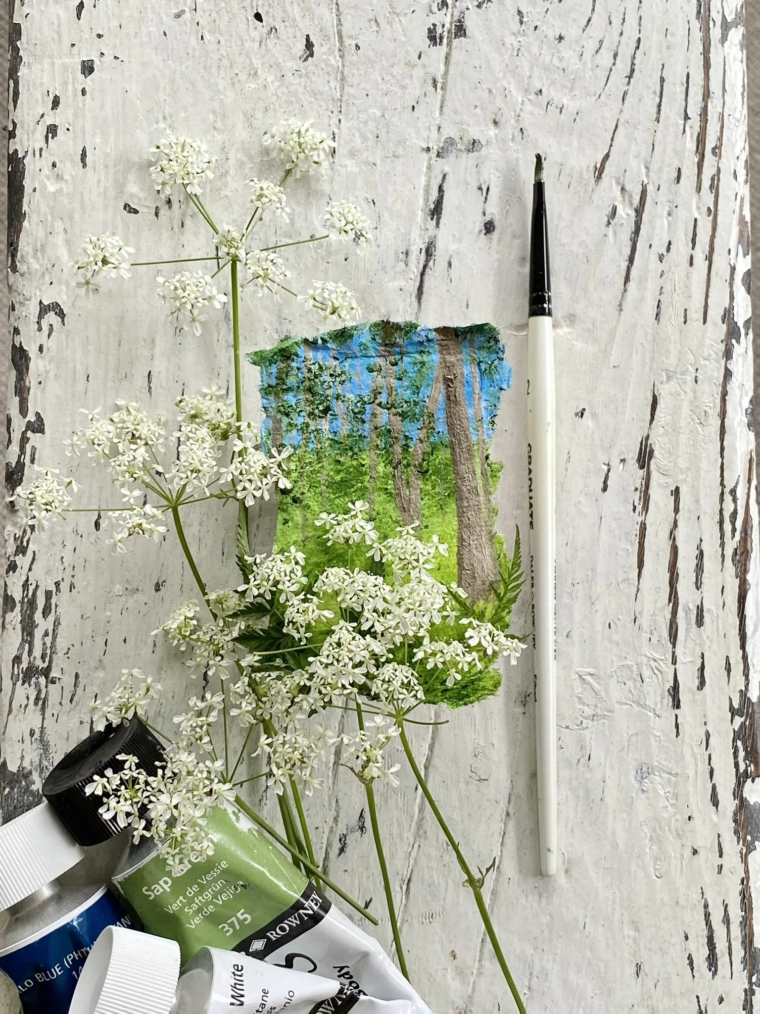 Miniature painting of cow parsley woodland in Sussex by Tracey Hunter Dale