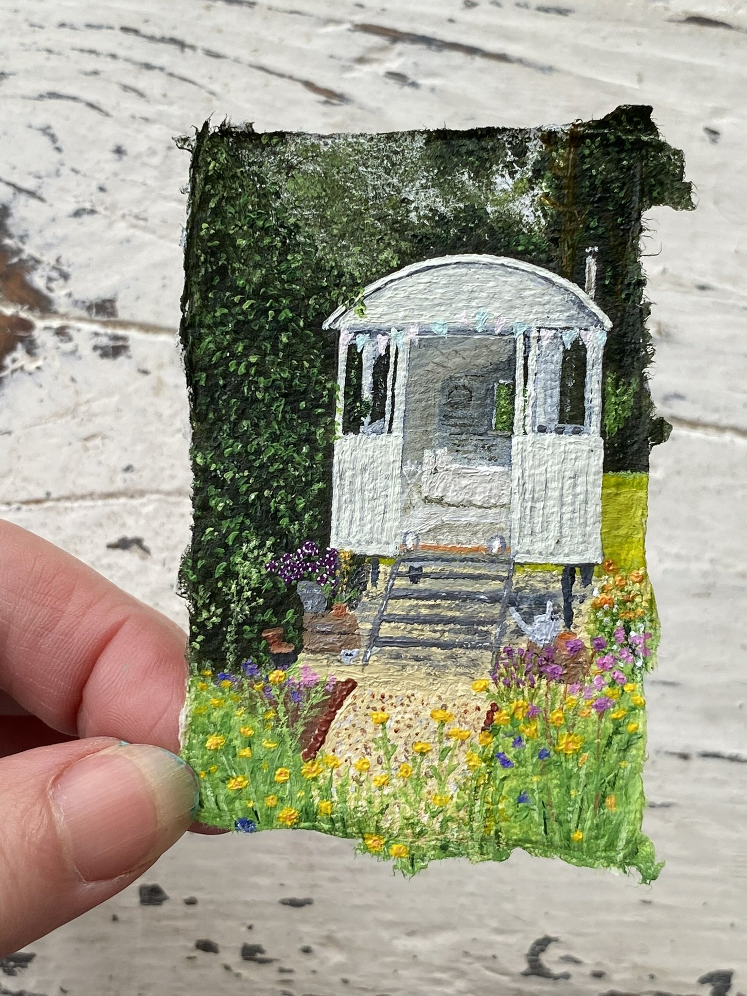 Belle and her Cottage Garden