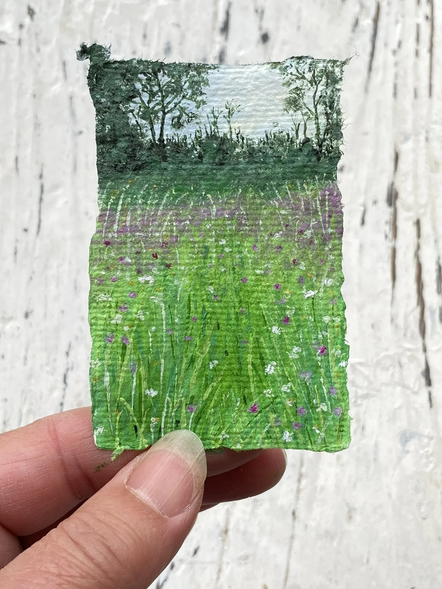 Among the Wildflowers