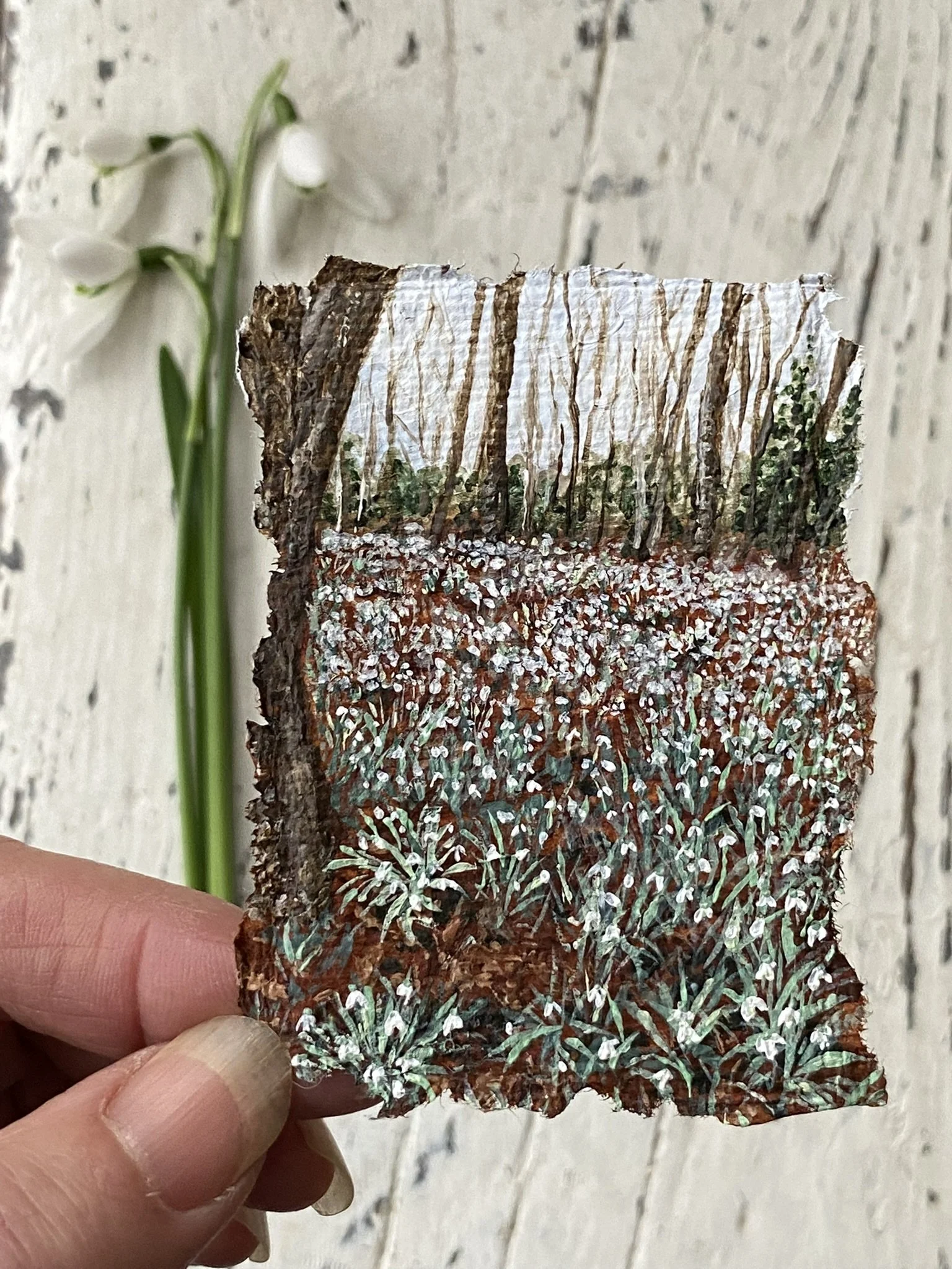 Miniature painting of a carpet of woodland Snowdrops in Selmeston, Sussex