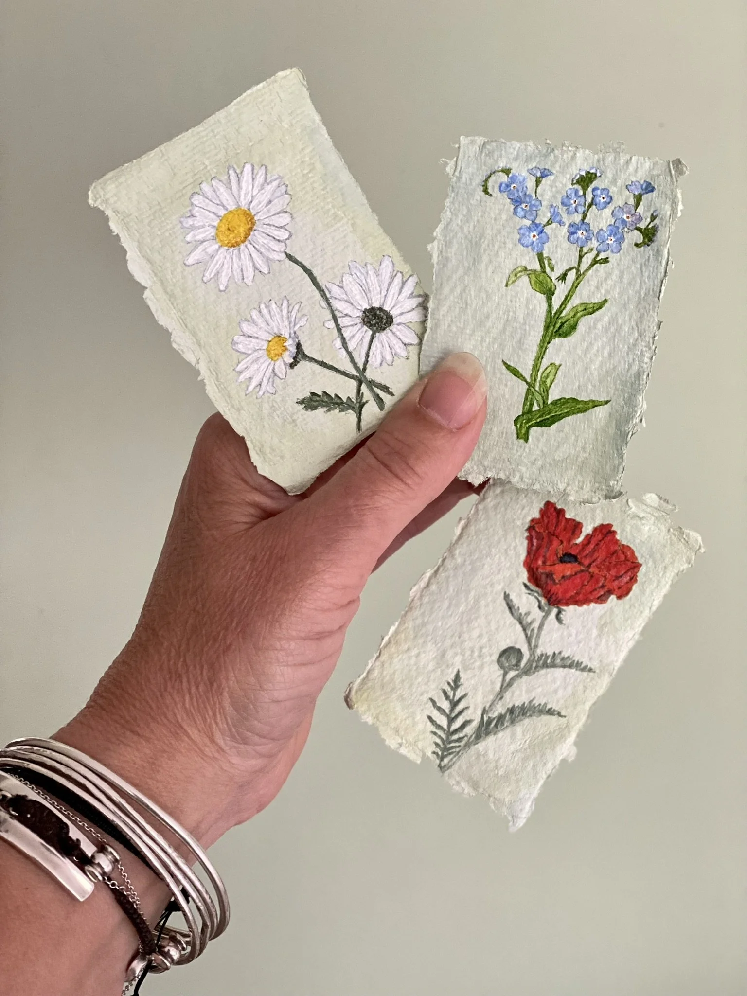 Ox-Eye Daisy, Forget-me-not, Oriental Poppy