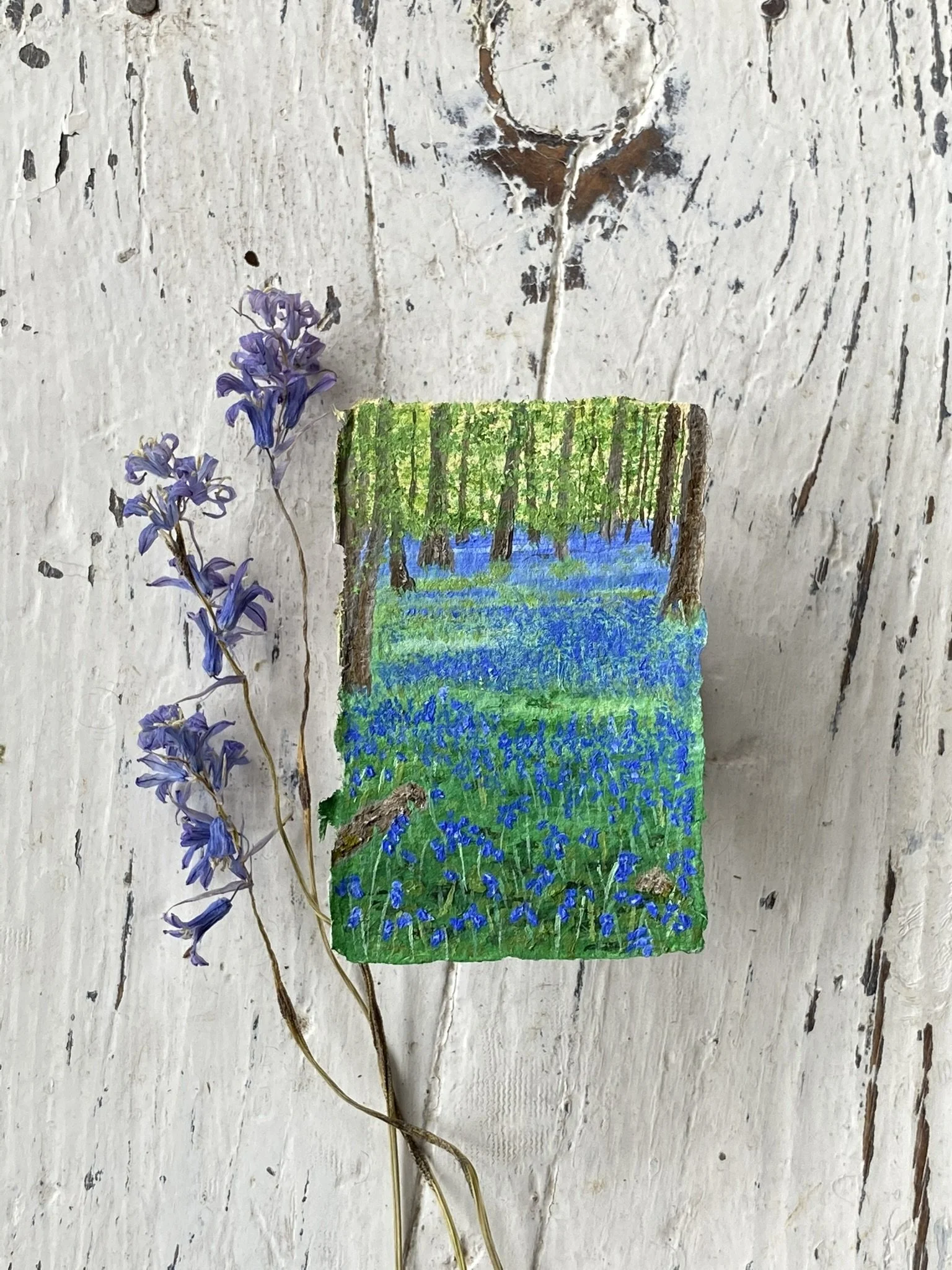 Mini miniature painting of a Bluebell Woodland in East Sussex