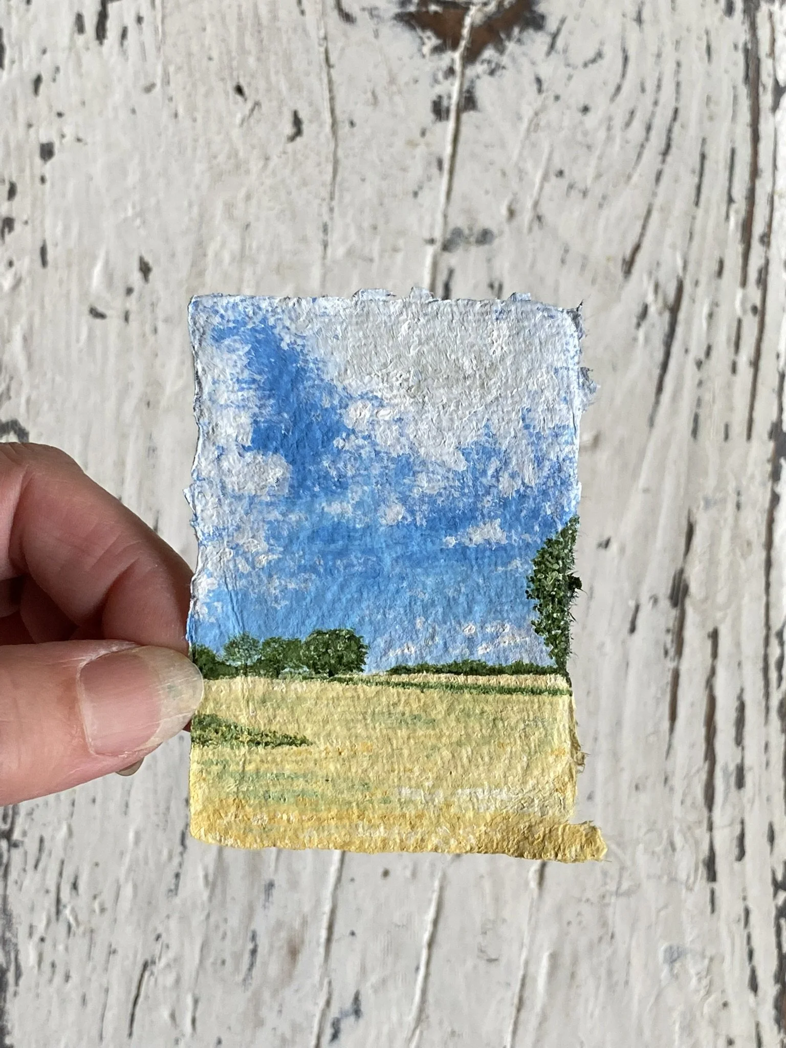 After the Harvest