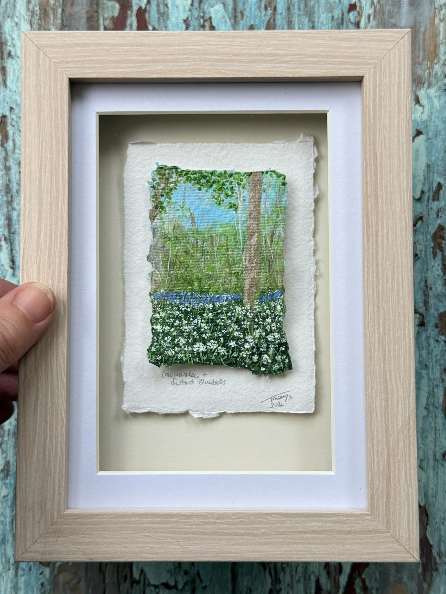 Cow Parsley and Distant Bluebells