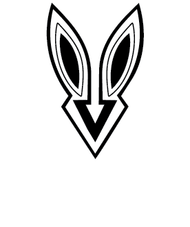 Vintini LLC