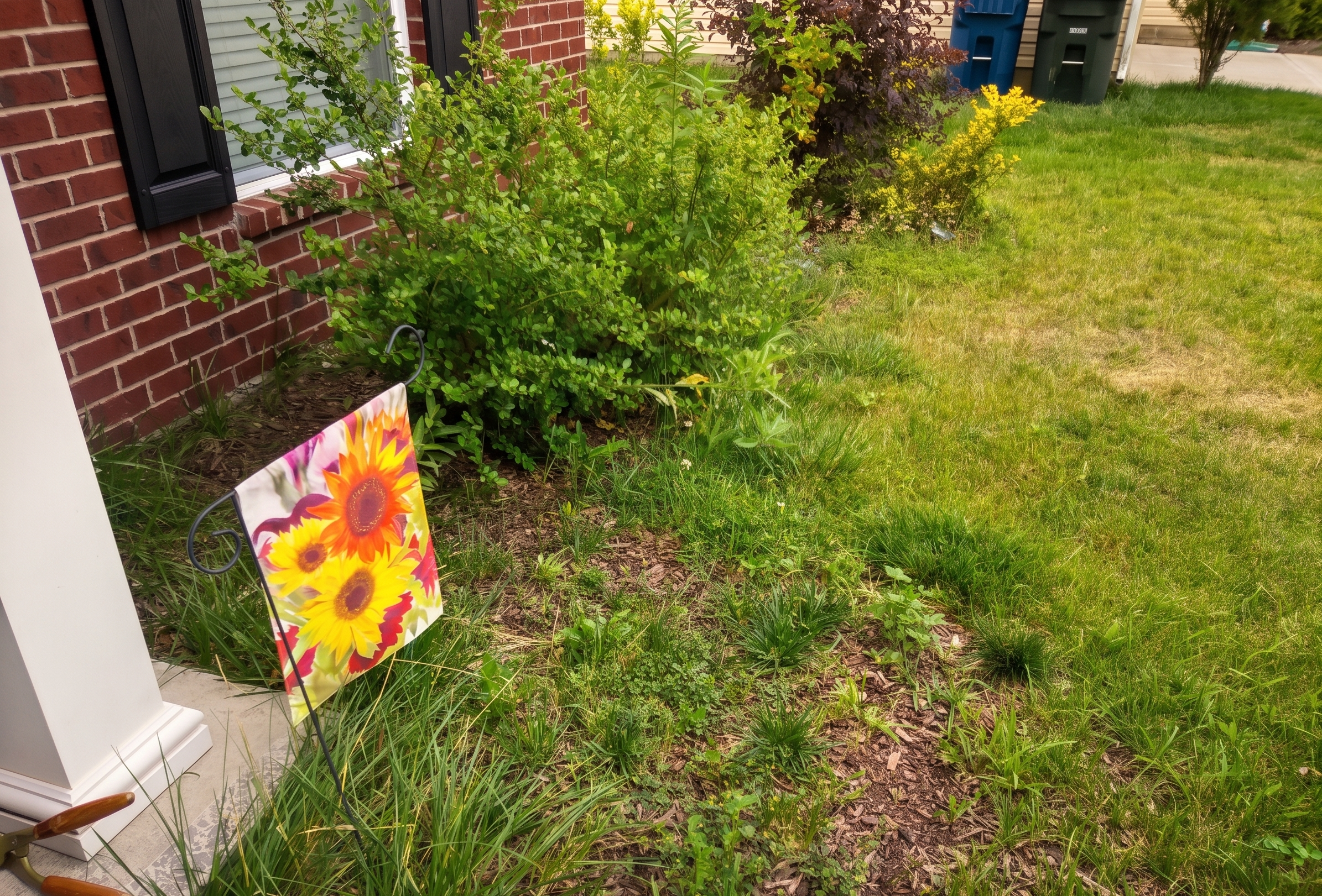 Landscape trim Before.png