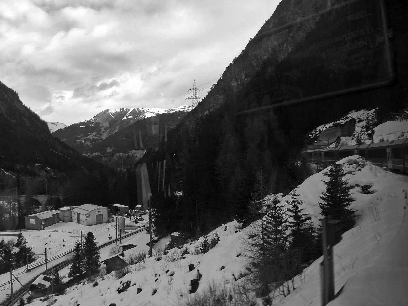 WhatsApp Image 2026-02-11 at 16.36.15.jpeg