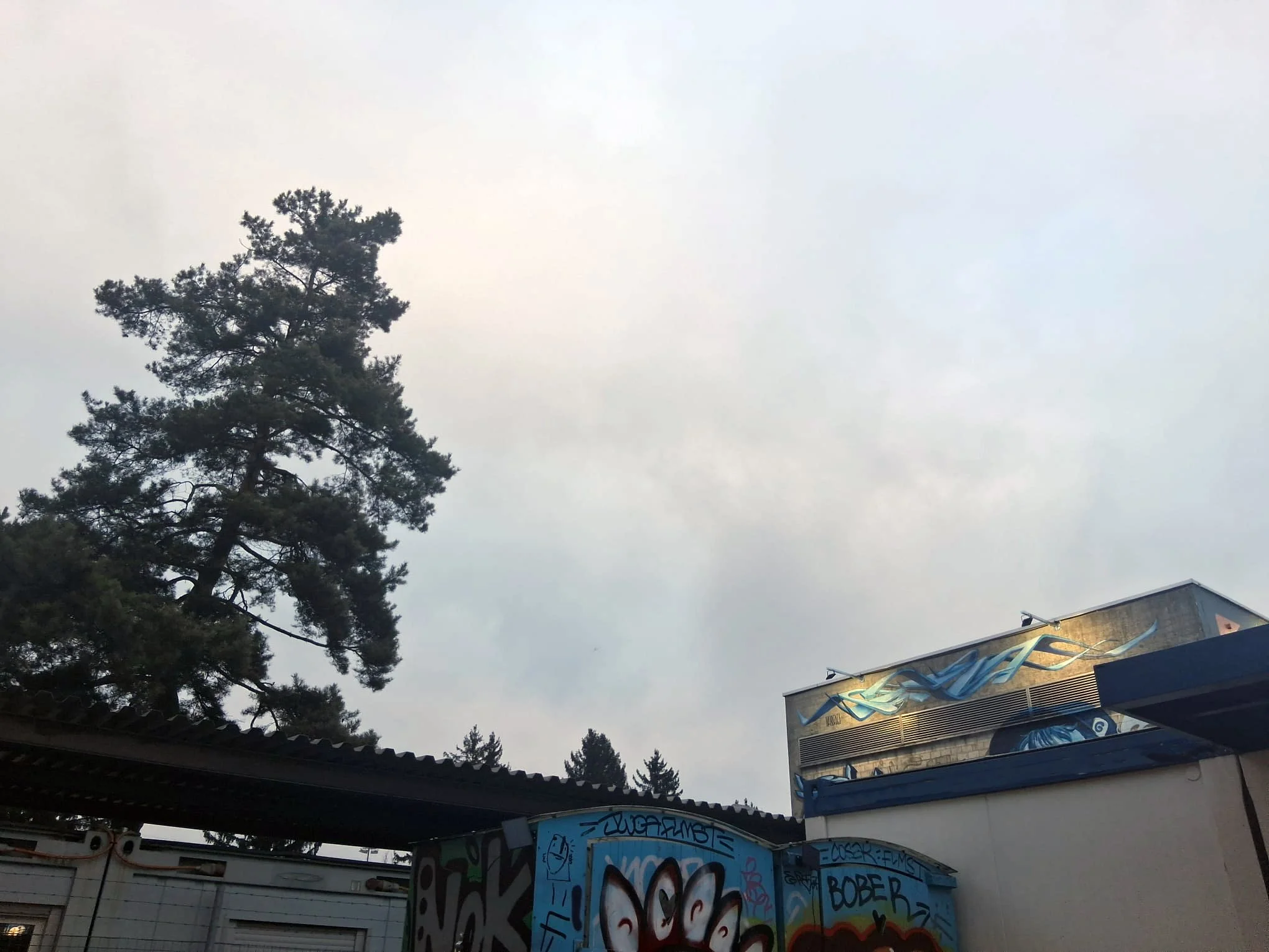 WhatsApp Image 2026-02-08 at 17.21.38.jpeg