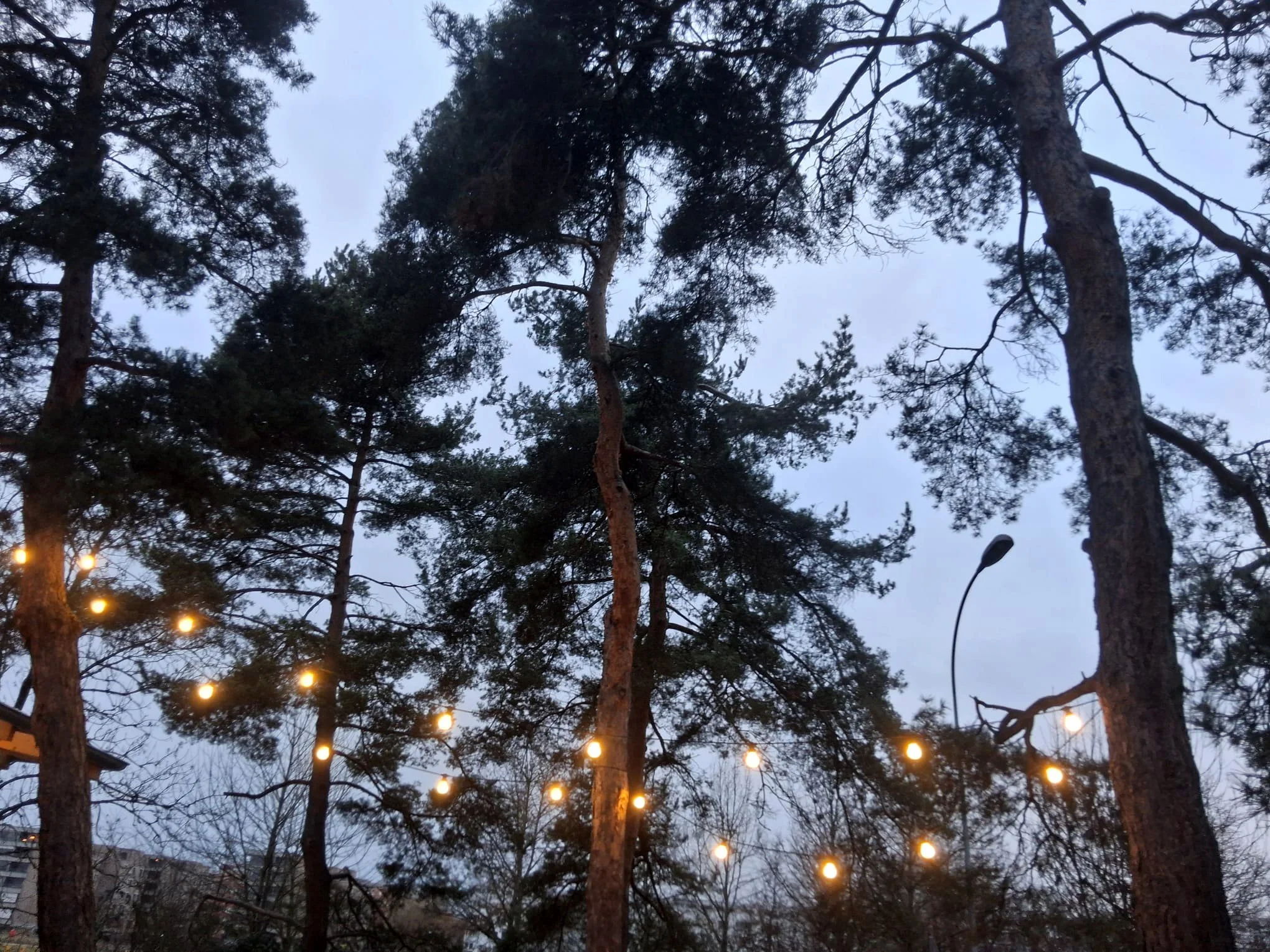 WhatsApp Image 2026-02-08 at 17.21.39.jpeg