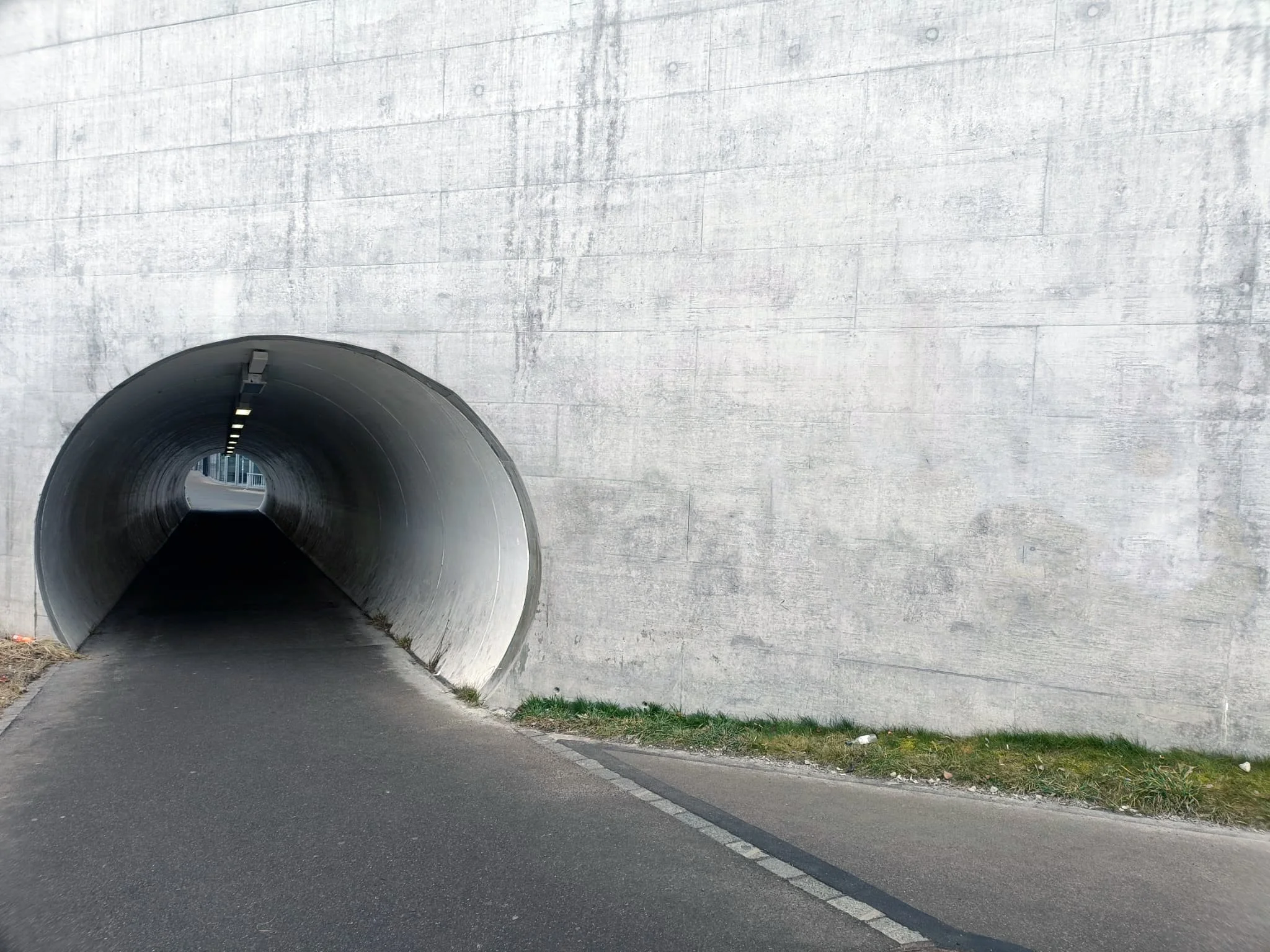 WhatsApp Image 2026-01-24 at 12.51.20.jpeg