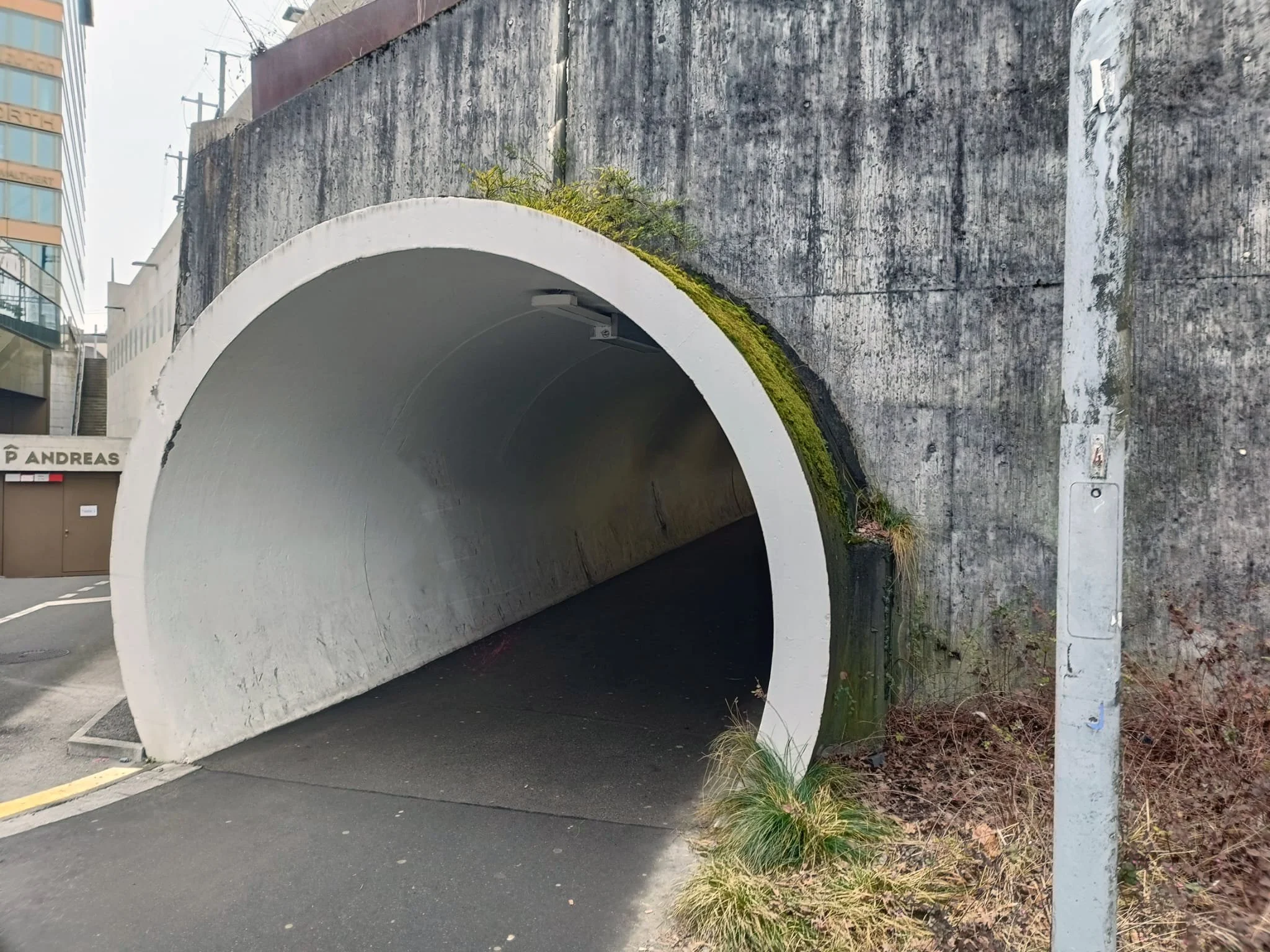 WhatsApp Image 2026-01-24 at 12.50.42.jpeg