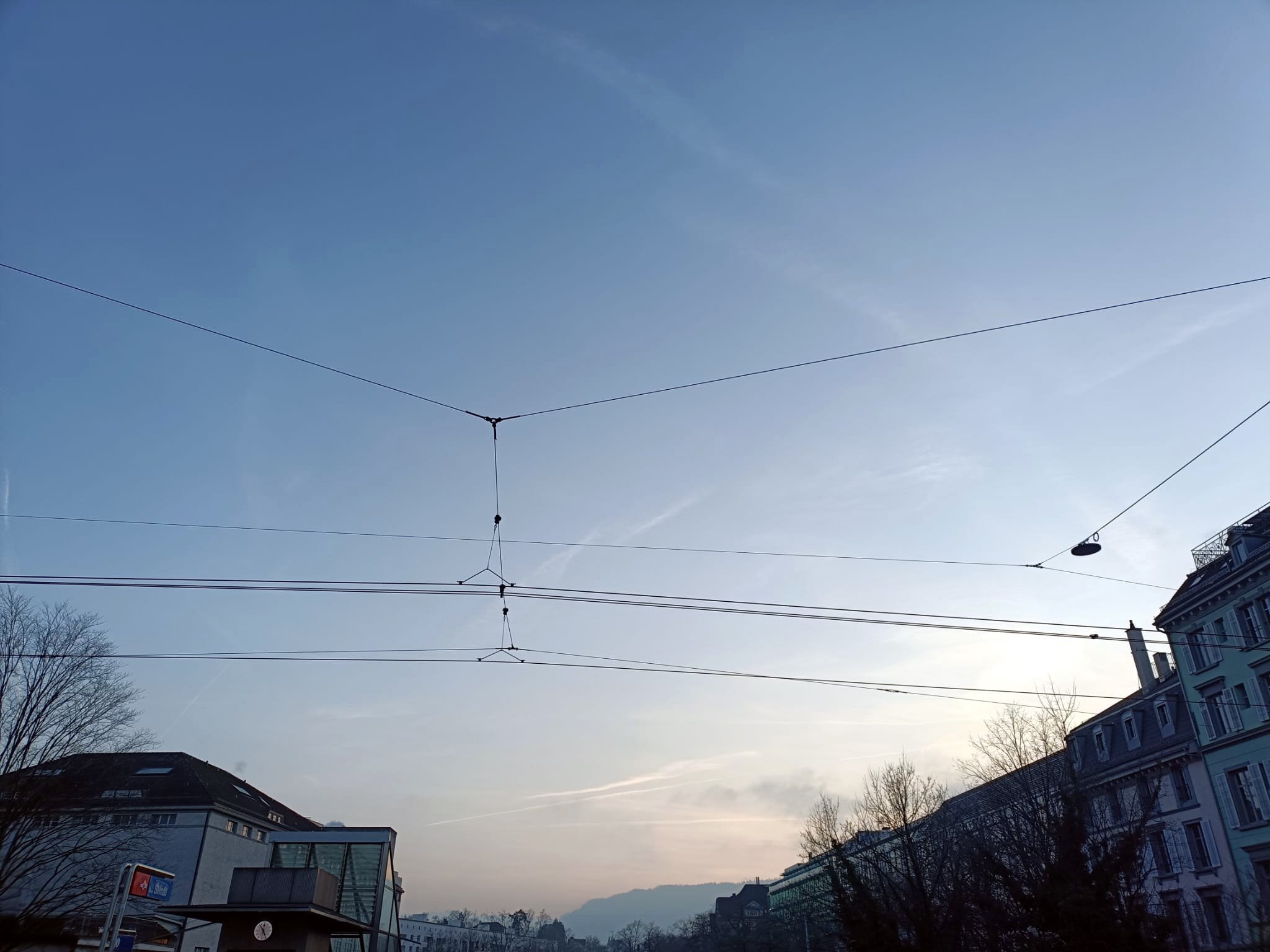 WhatsApp Image 2026-01-19 at 16.58.39.jpeg