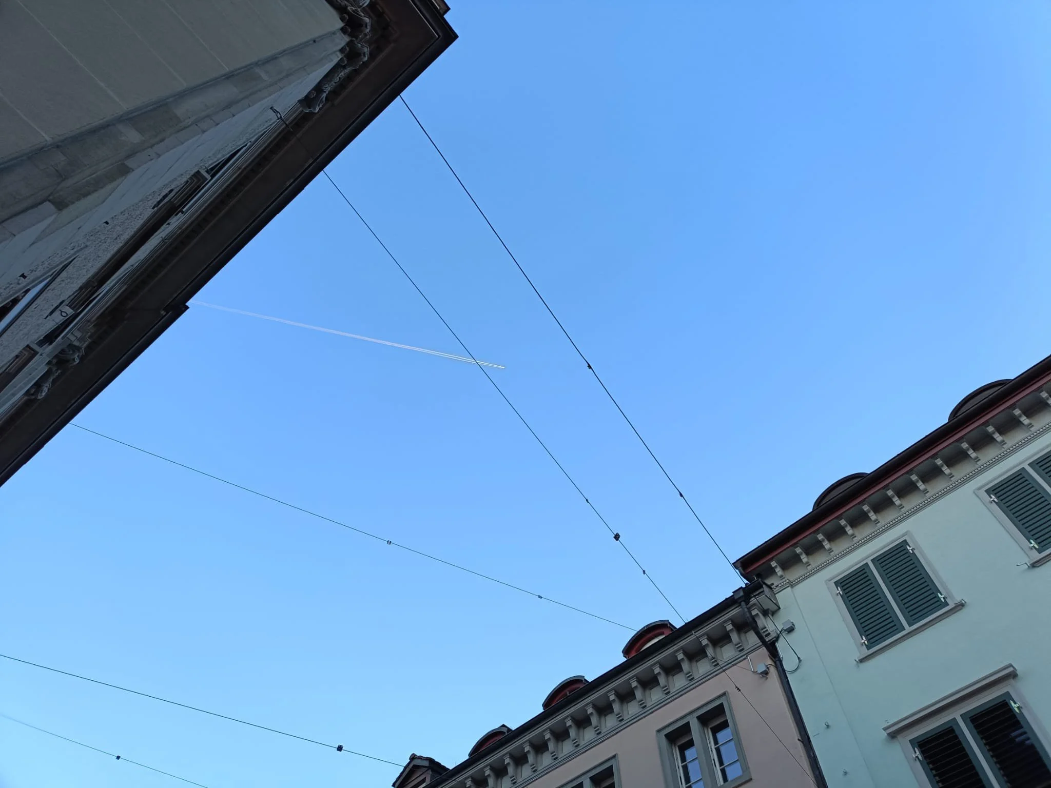 WhatsApp Image 2026-01-20 at 17.02.28.jpeg