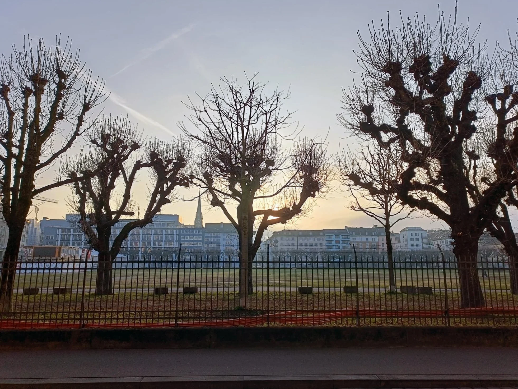 WhatsApp Image 2026-01-19 at 16.11.59.jpeg