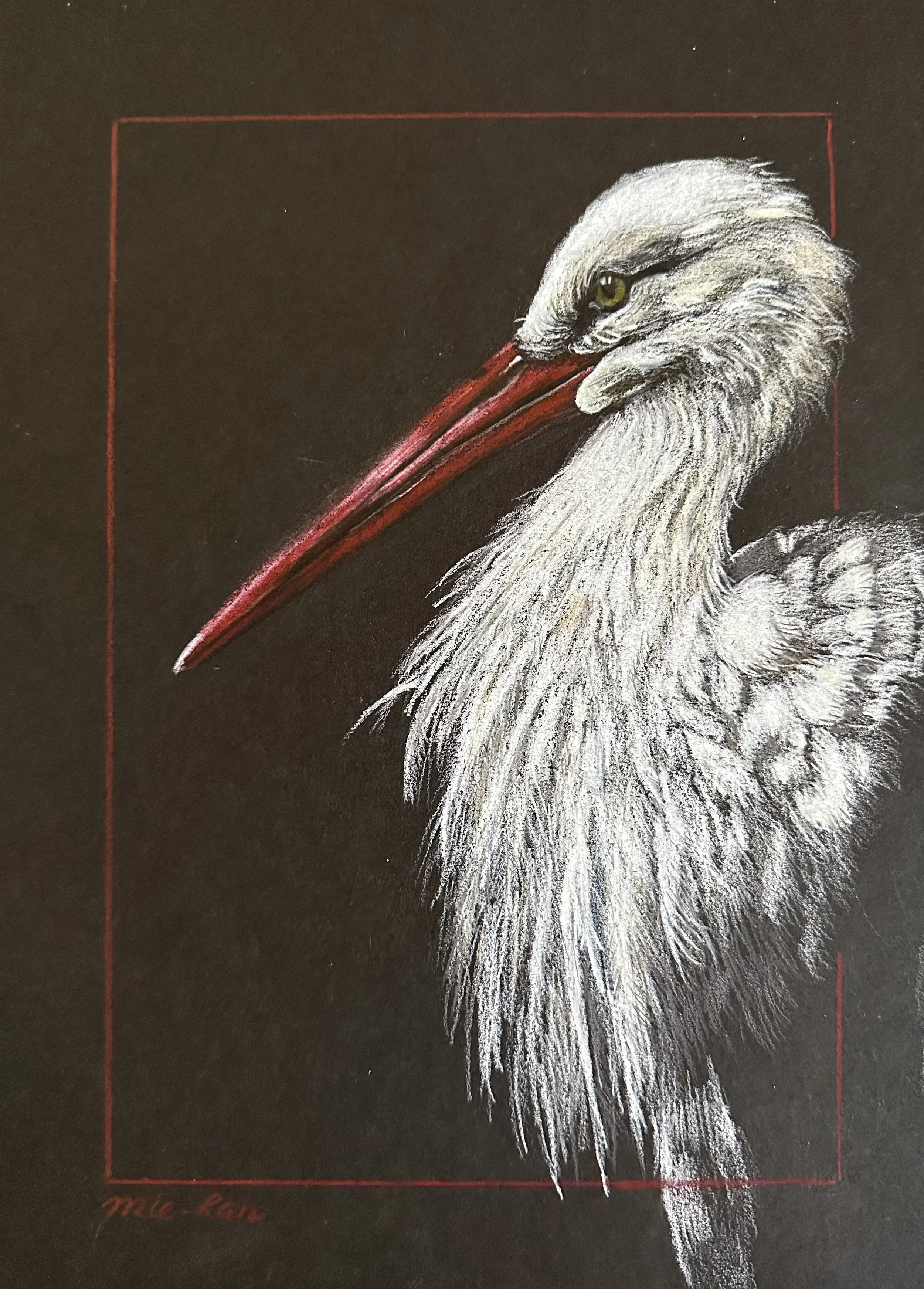 NAME: The Stork DESCRIPTION: Experience the elegance of nature with our captivating drawing featuring a majestic Stork adorned with intricate feathers. The subtle variations in shading and texture create a sense of depth and dimension, transporting v